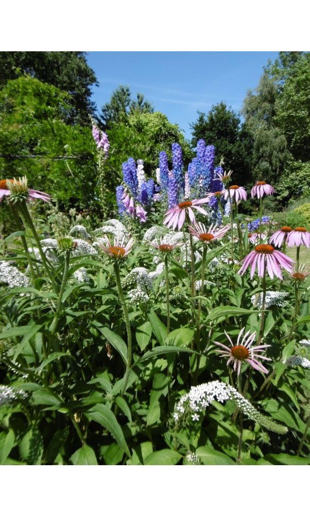 Nature house in Thuboeuf