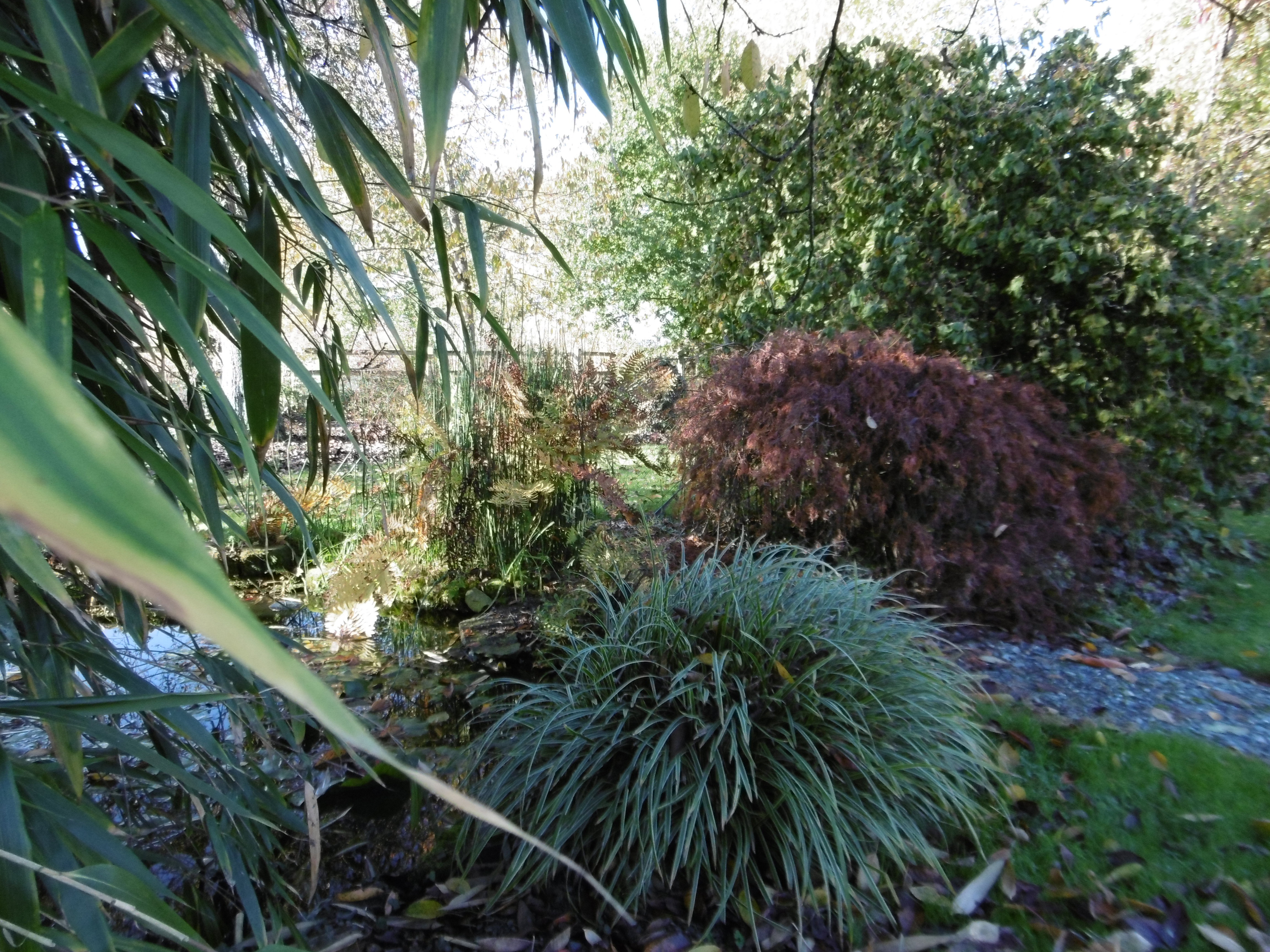 Nature house in Thuboeuf