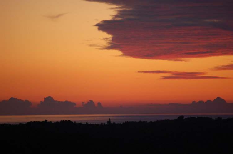 - image: 10