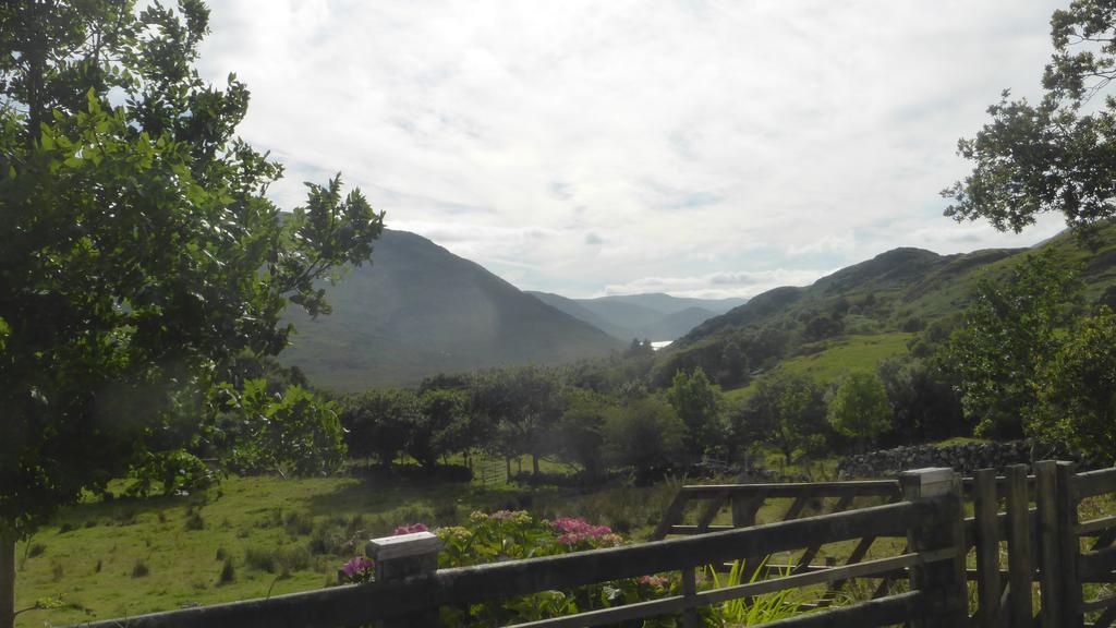 - image: 12