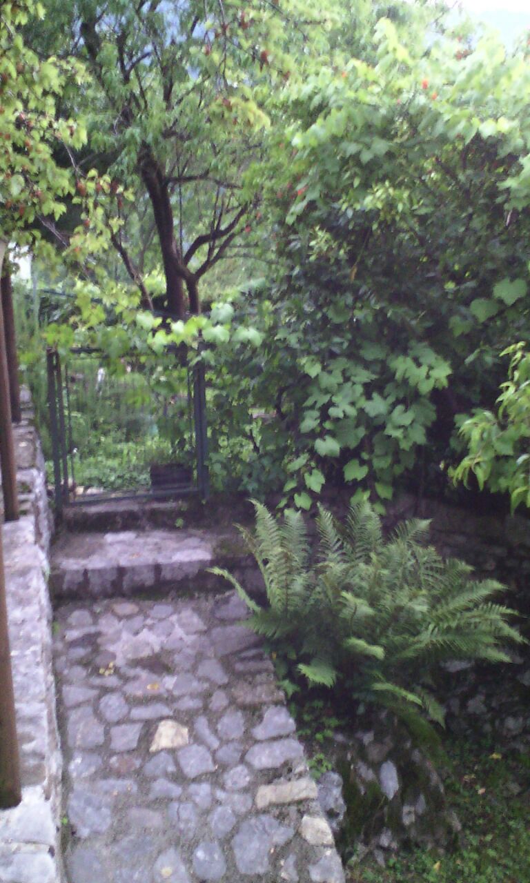 - image: 18