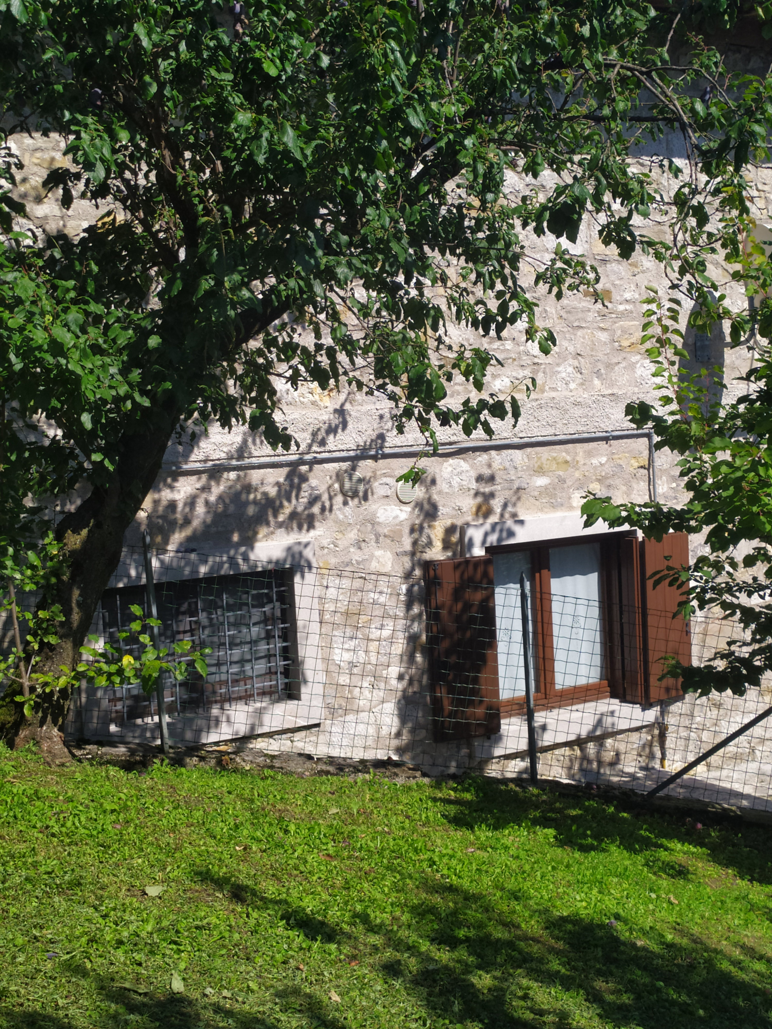 - image: 48