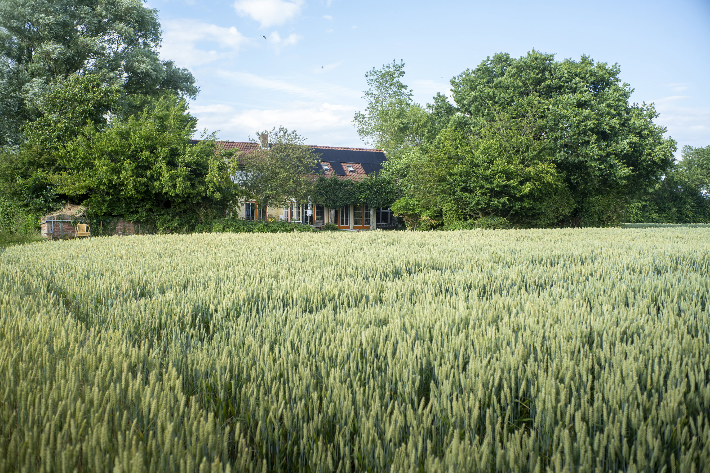 Natuurhuisje in Vrouwenpolder
