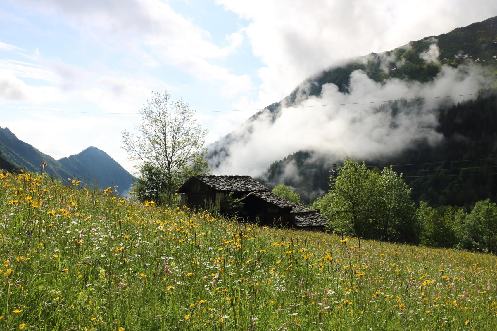 Nature house in Champorcher