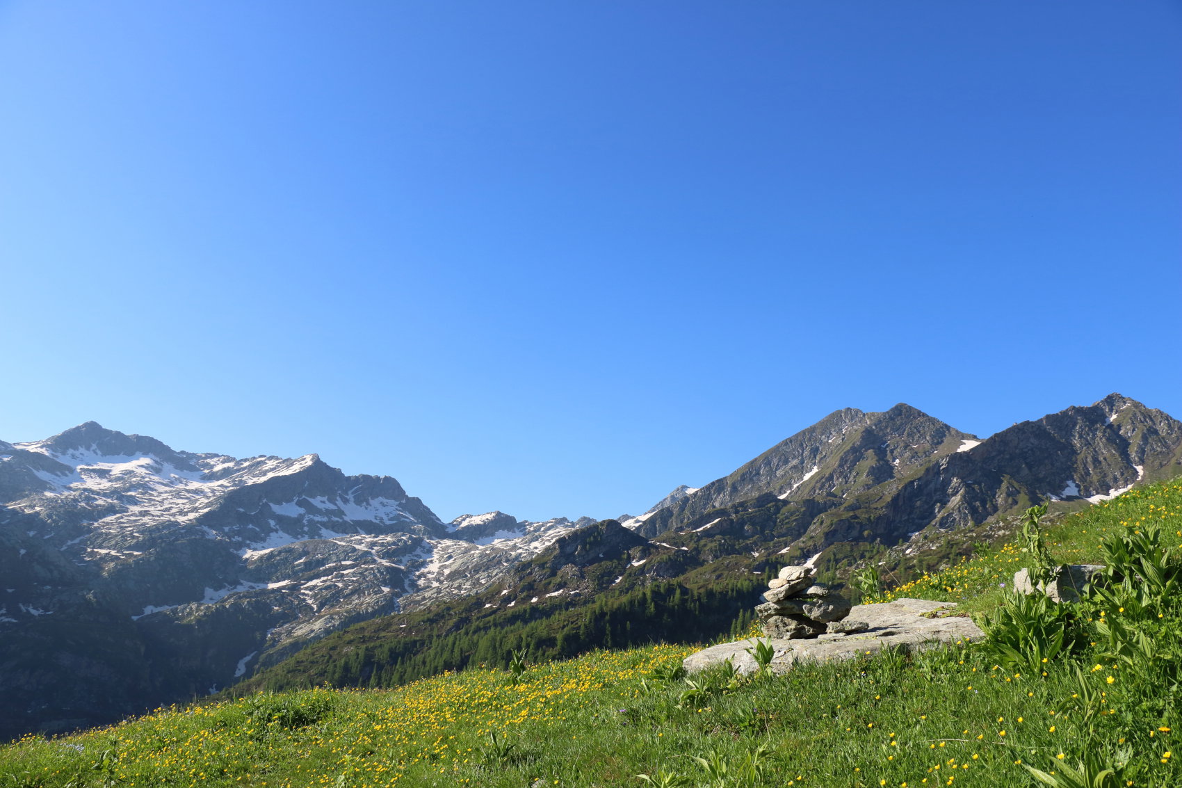 - image: 11