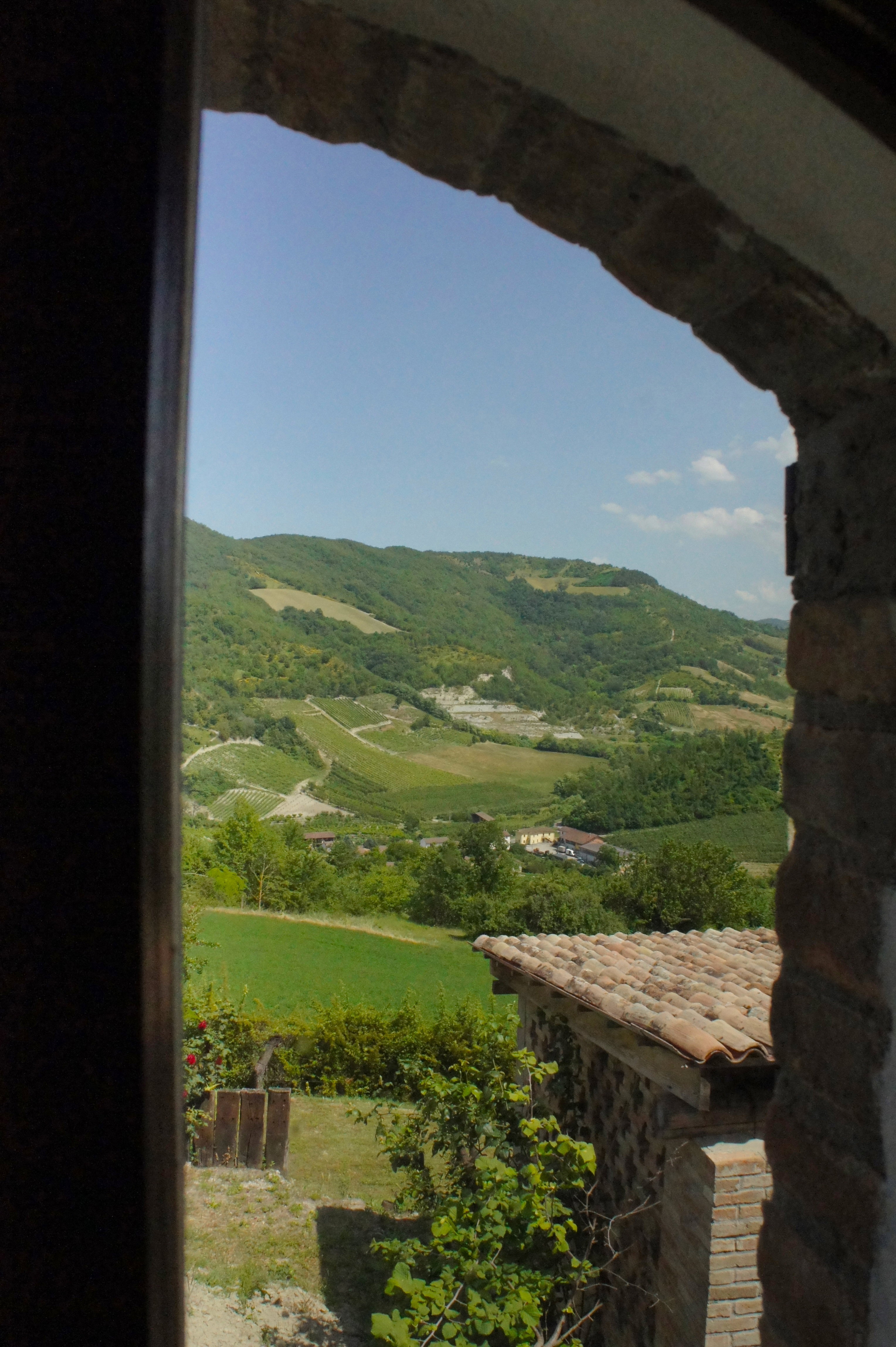 - image: 19
