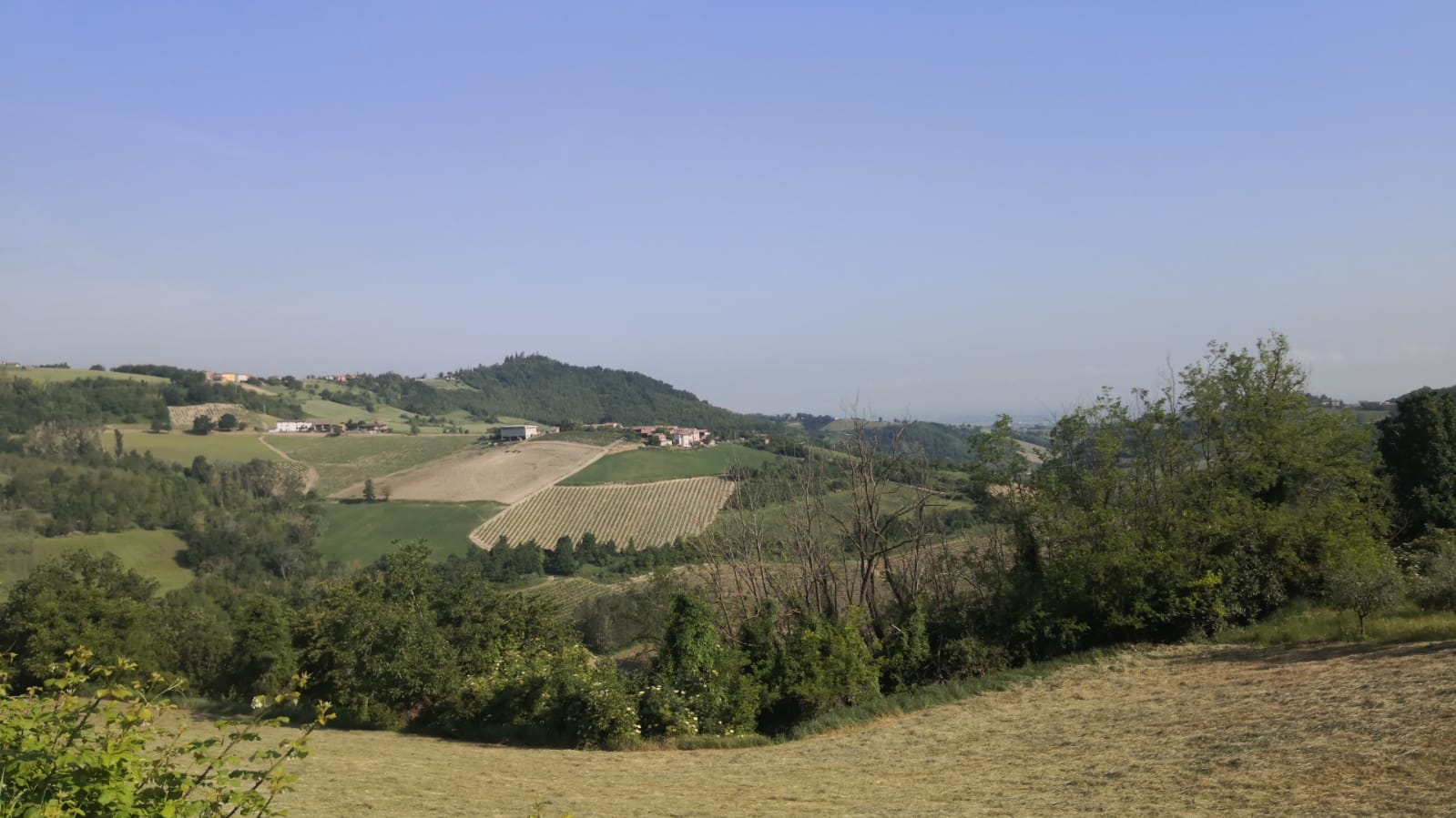 - image: 22