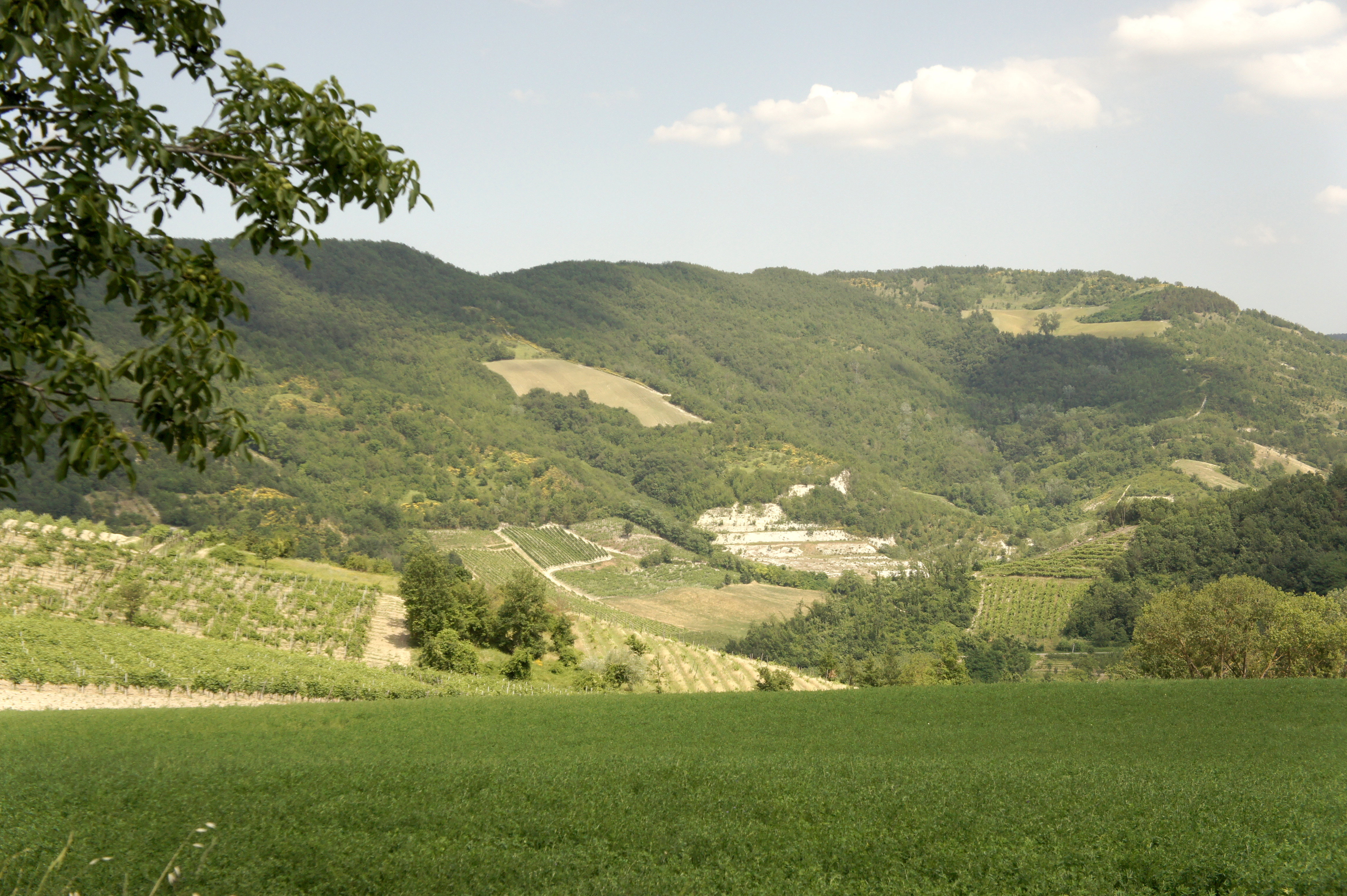 - image: 23