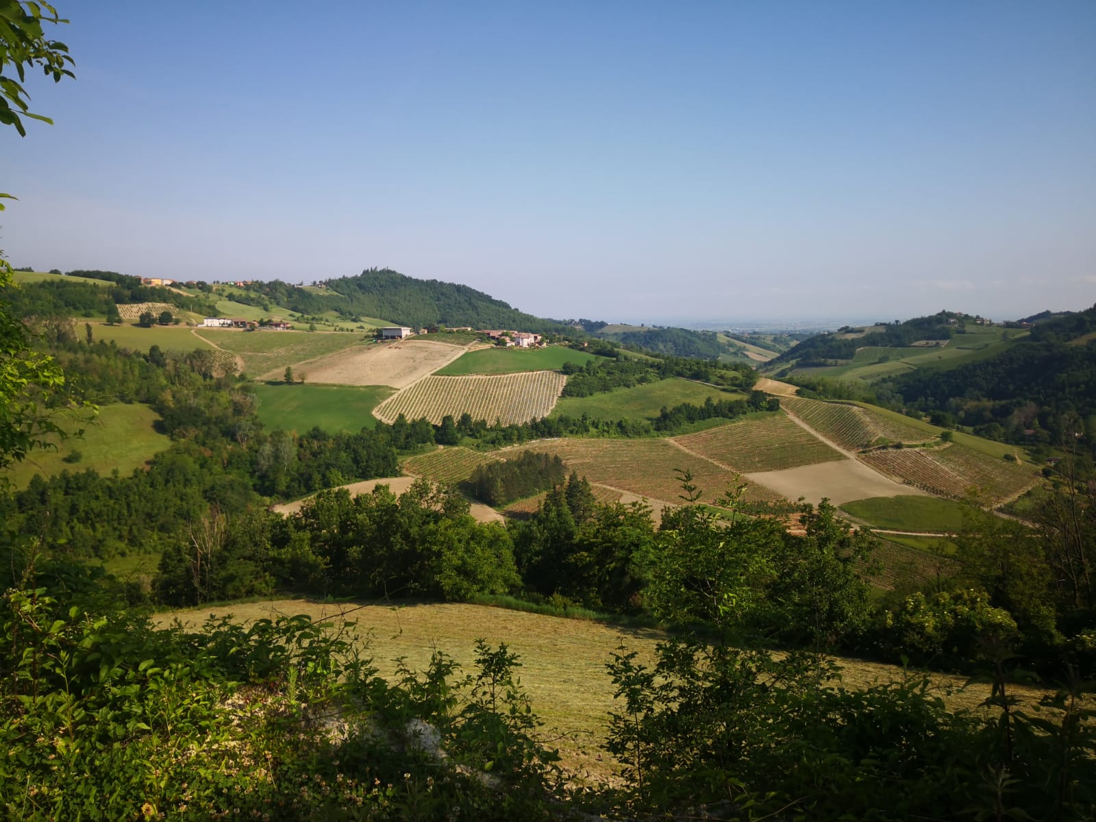 - image: 18
