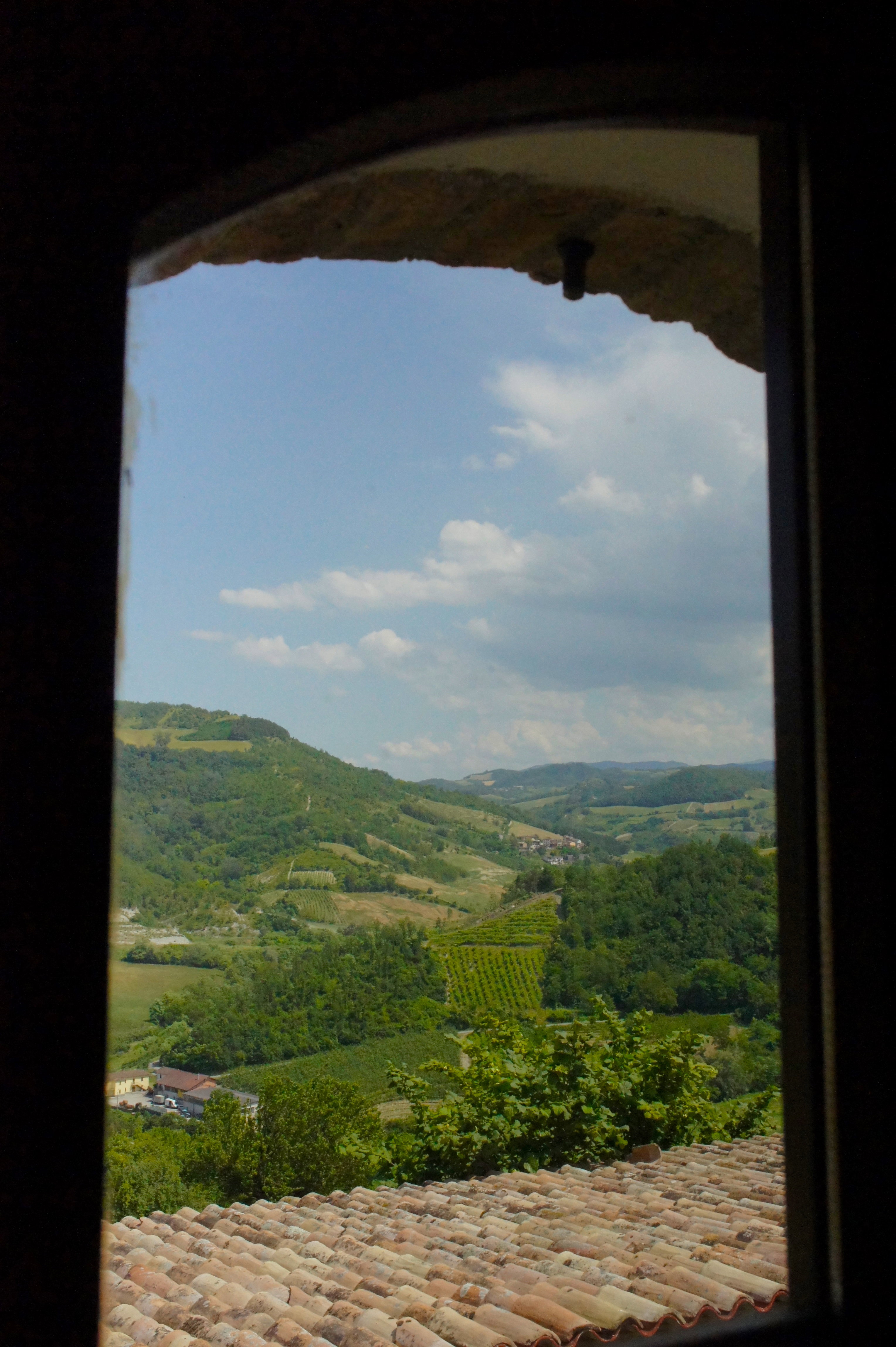 - image: 20
