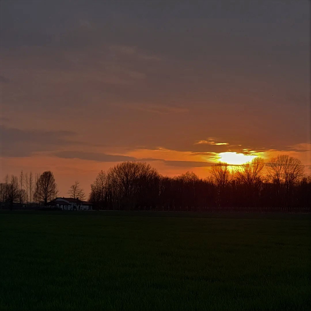 - image: 23