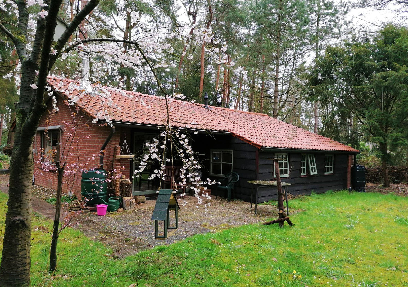 Naturhäuschen in Winterswijk