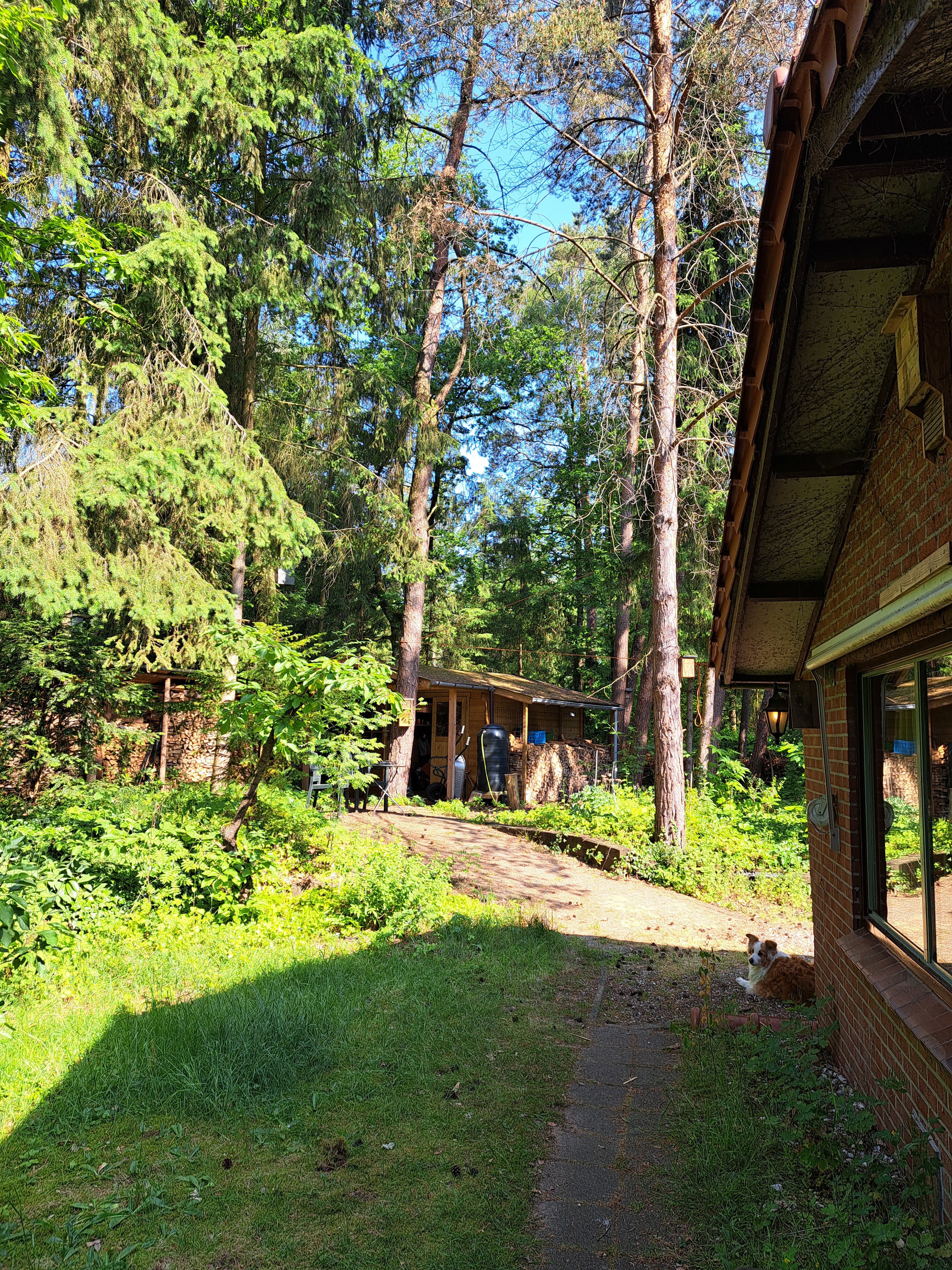 Naturhäuschen in Winterswijk