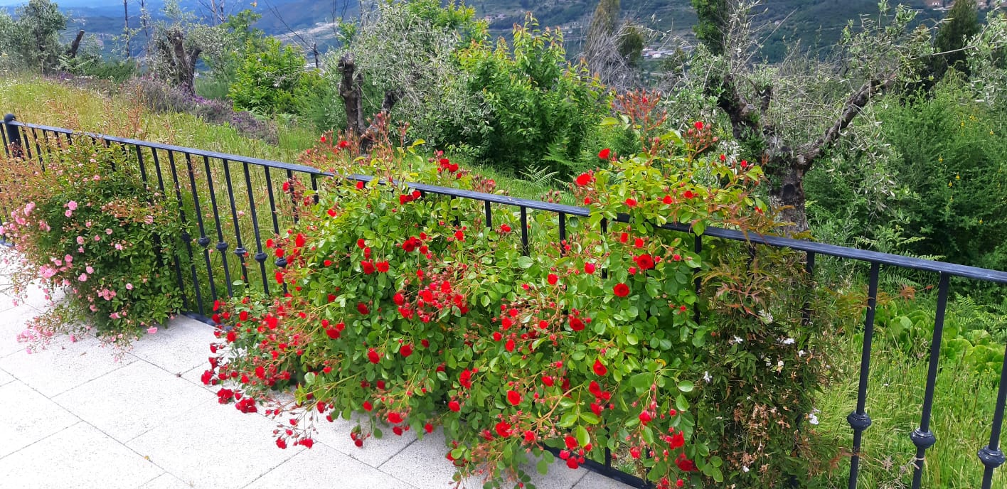 Natuurhuisje in Aldeia Das Dez