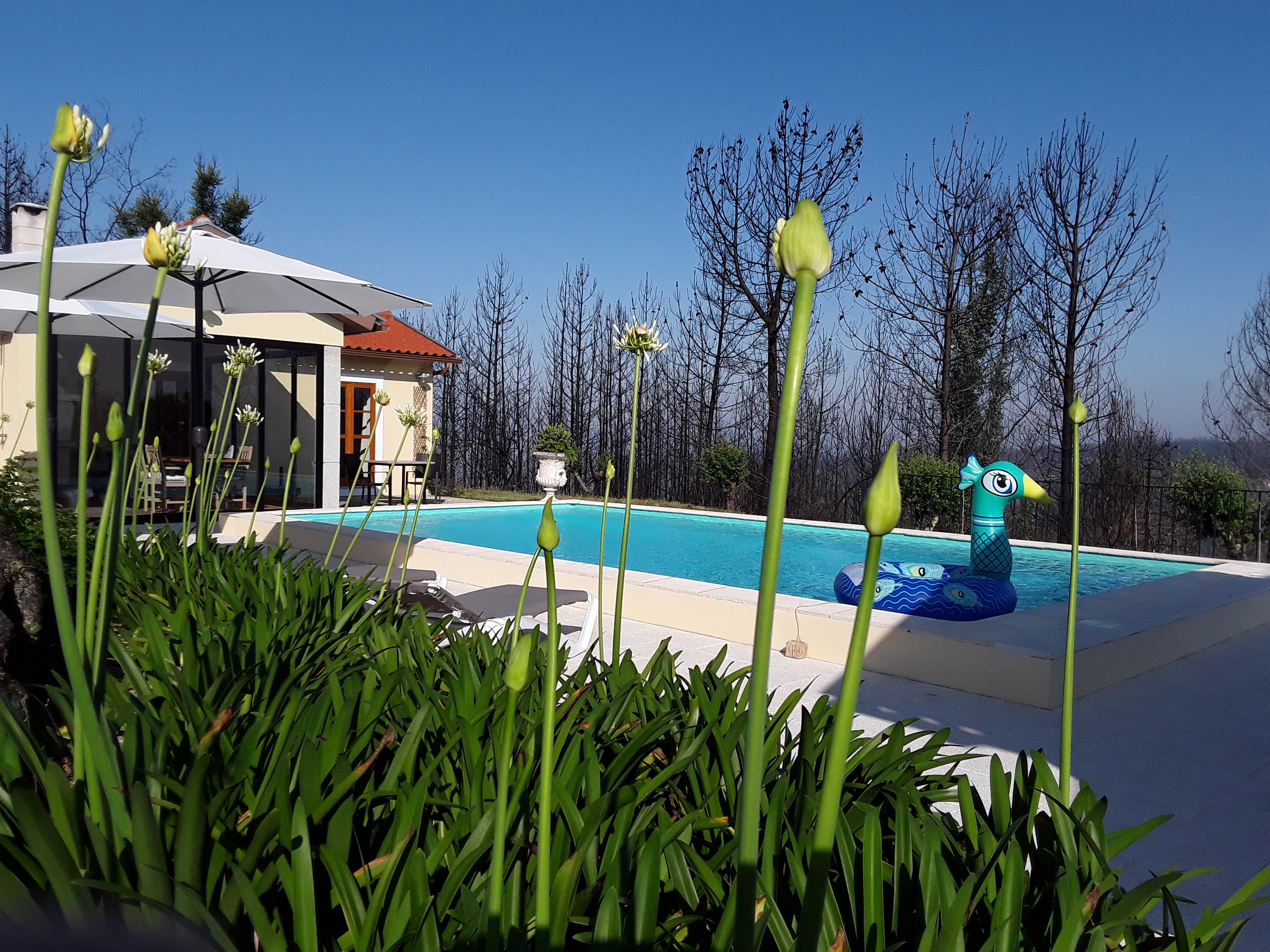 Nature house in Aldeia Das Dez