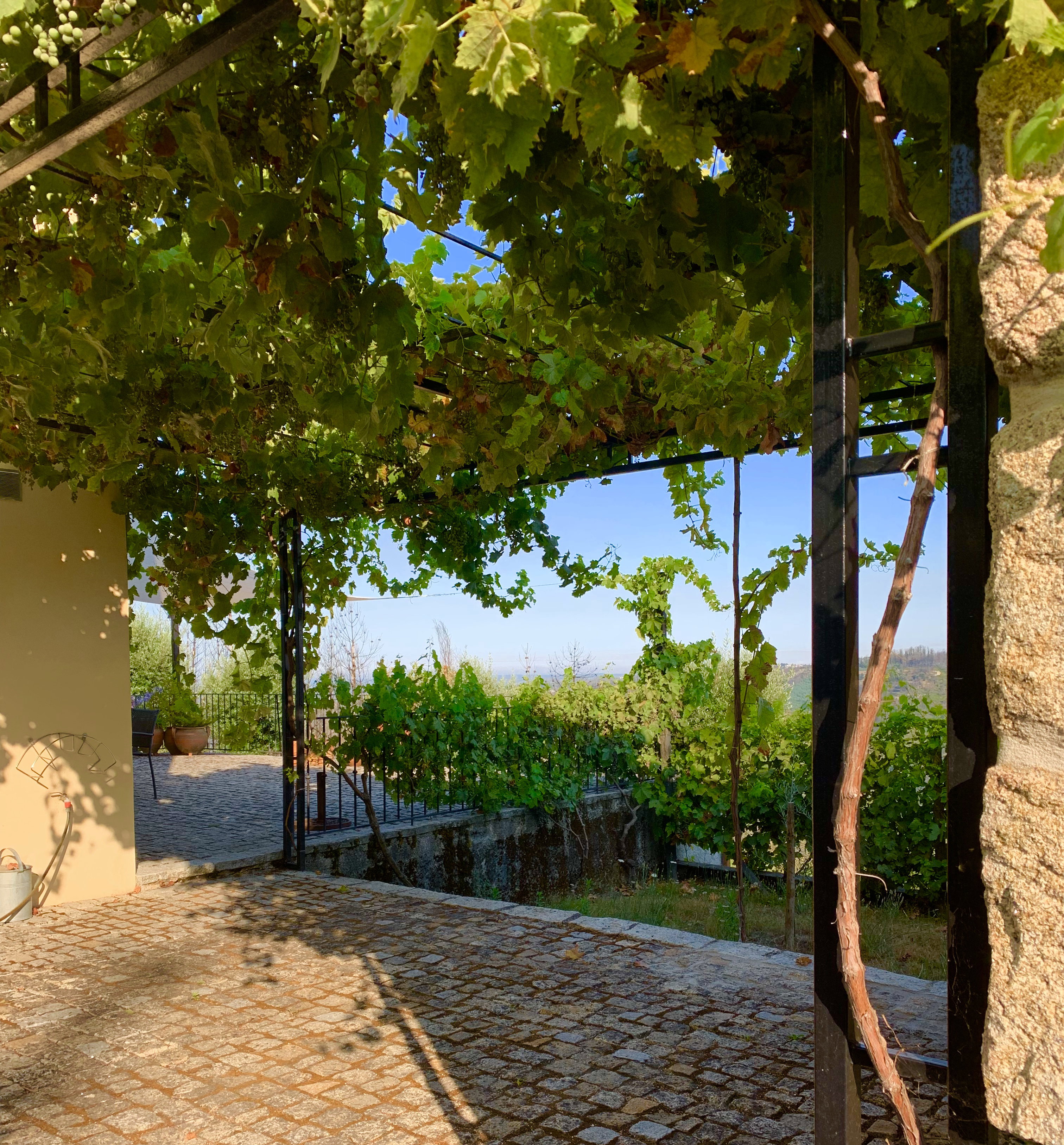 Nature house in Aldeia Das Dez