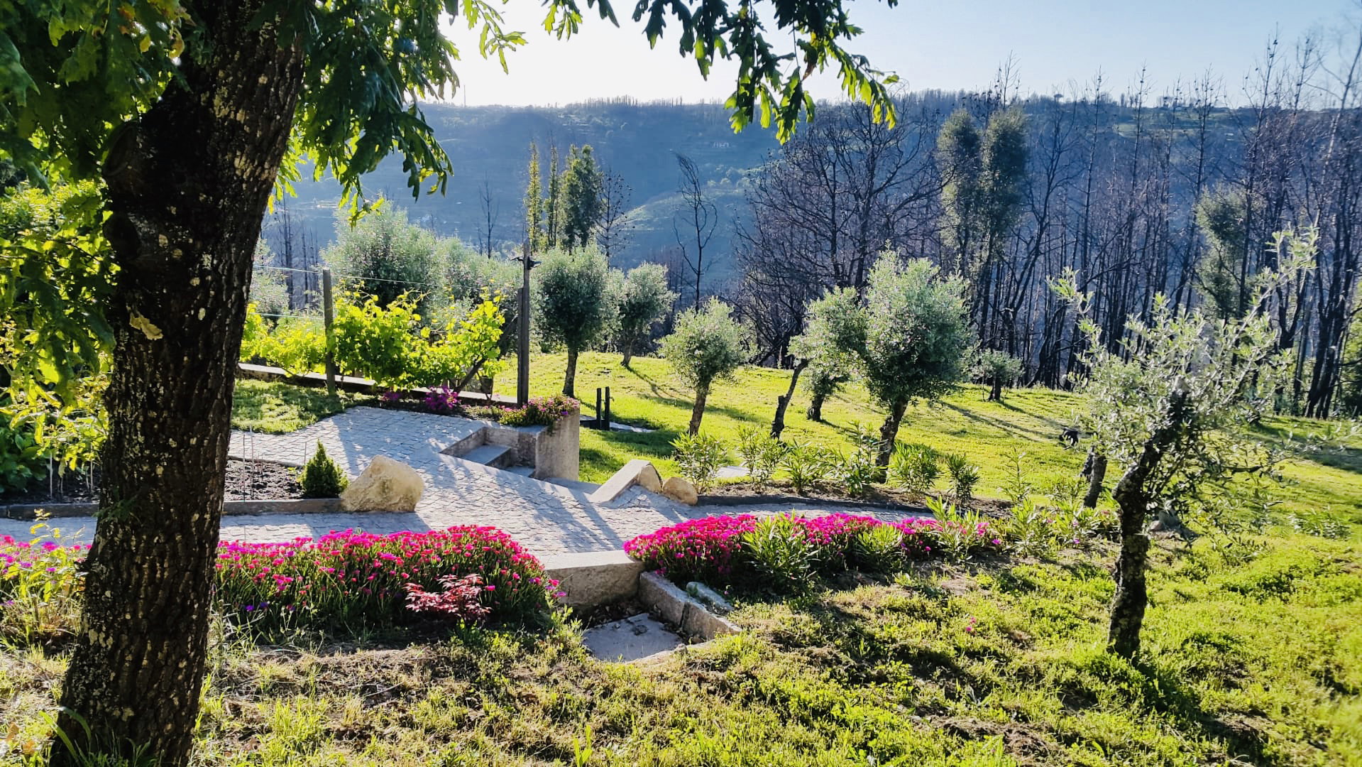 Nature house in Aldeia Das Dez