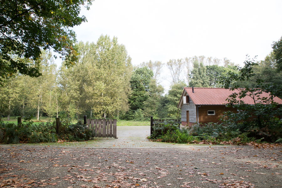 - image: 4