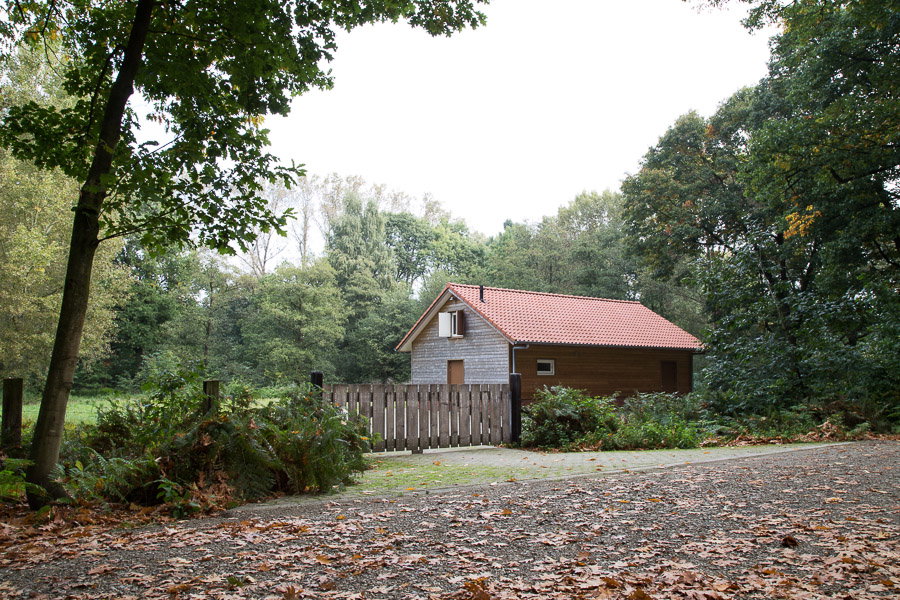- image: 2