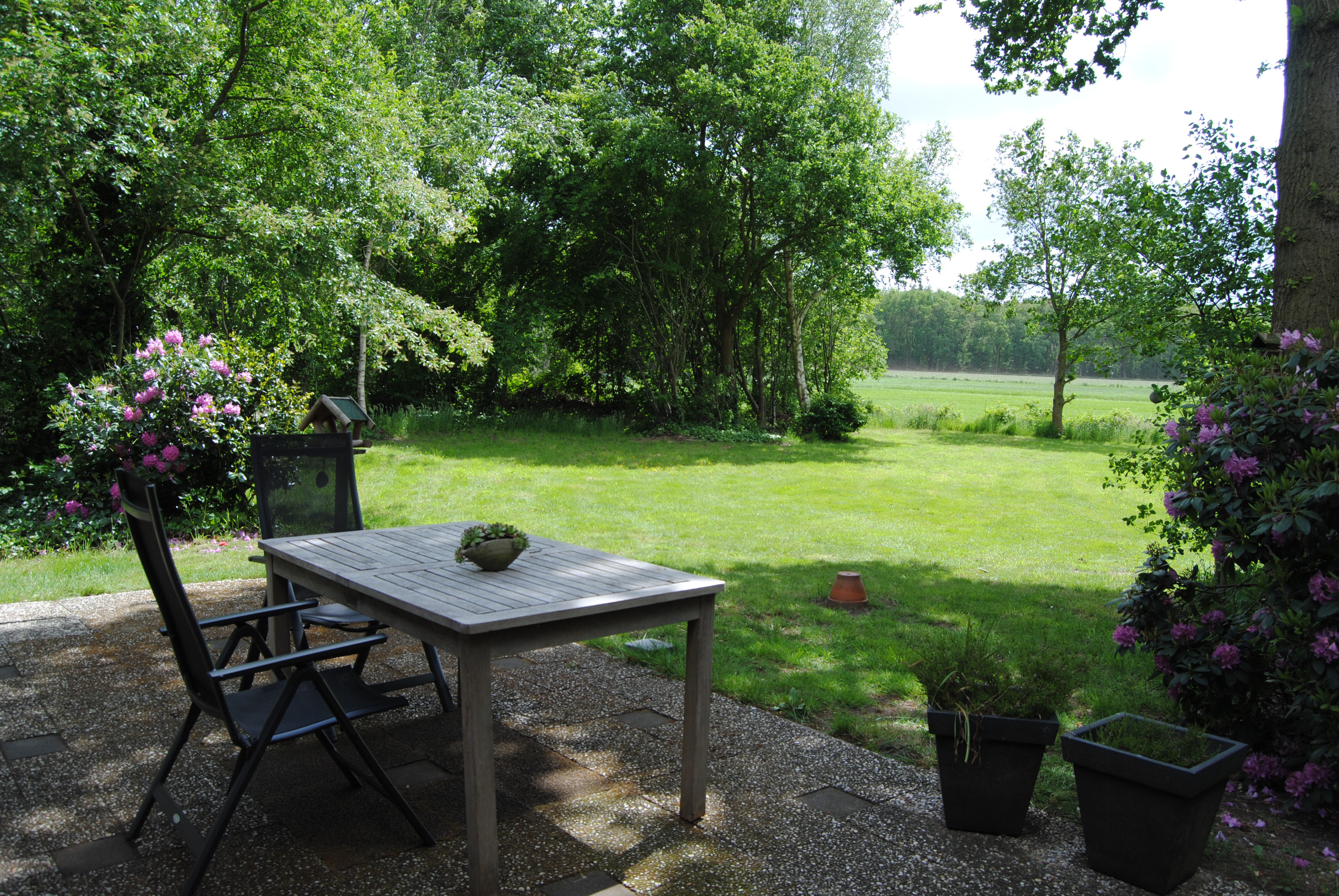 Natuurhuisje in Ruinen