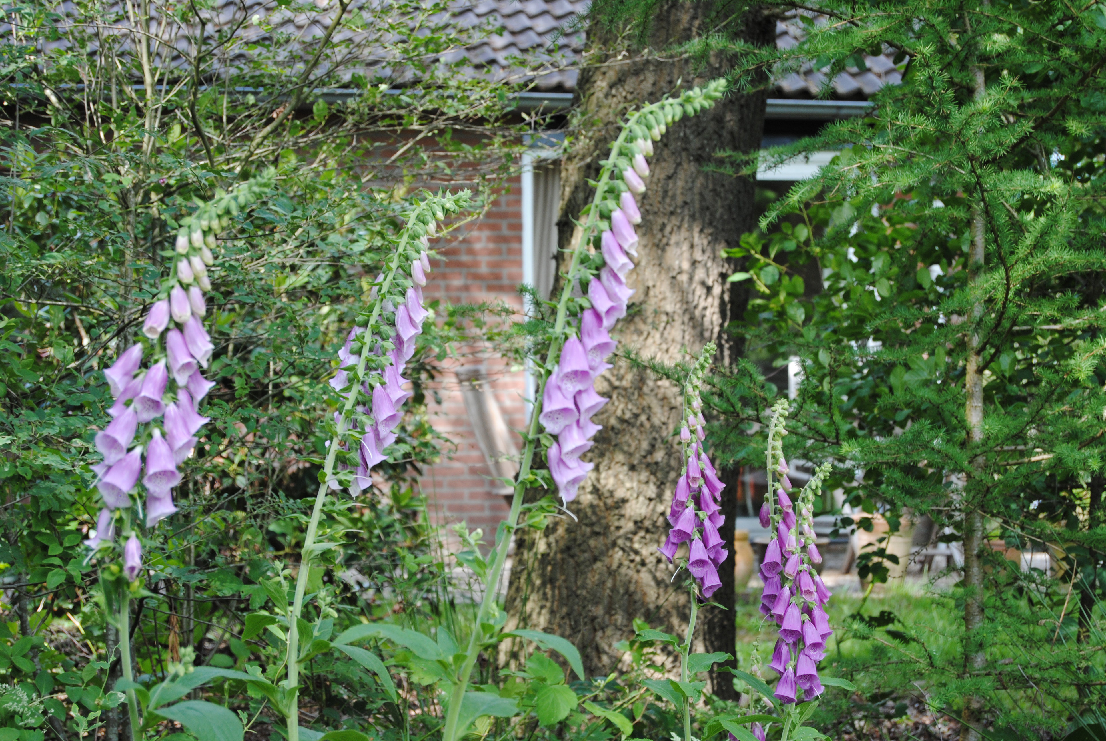 - image: 13