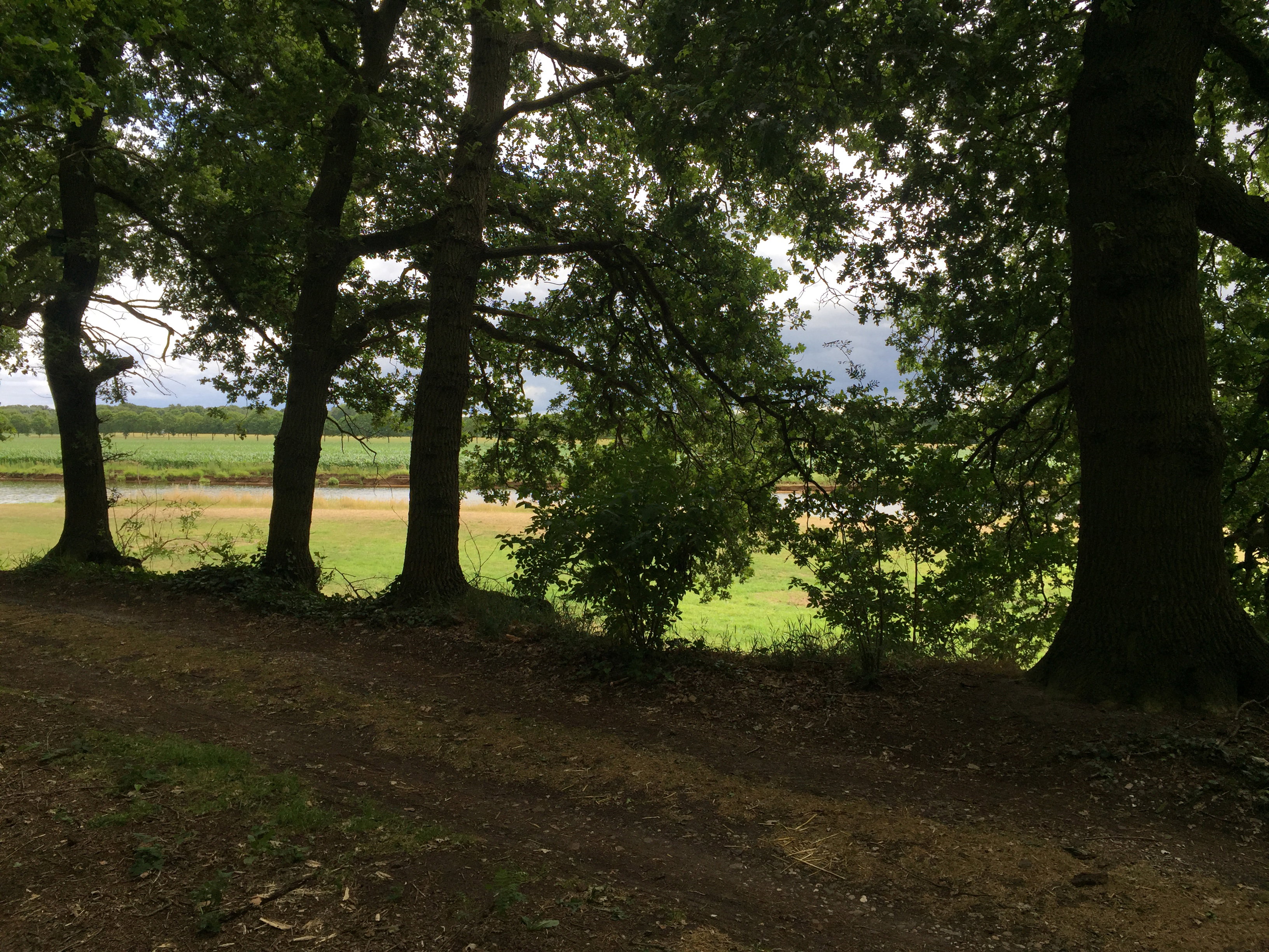 Naturhäuschen in Dalfsen