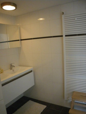 - image: 11