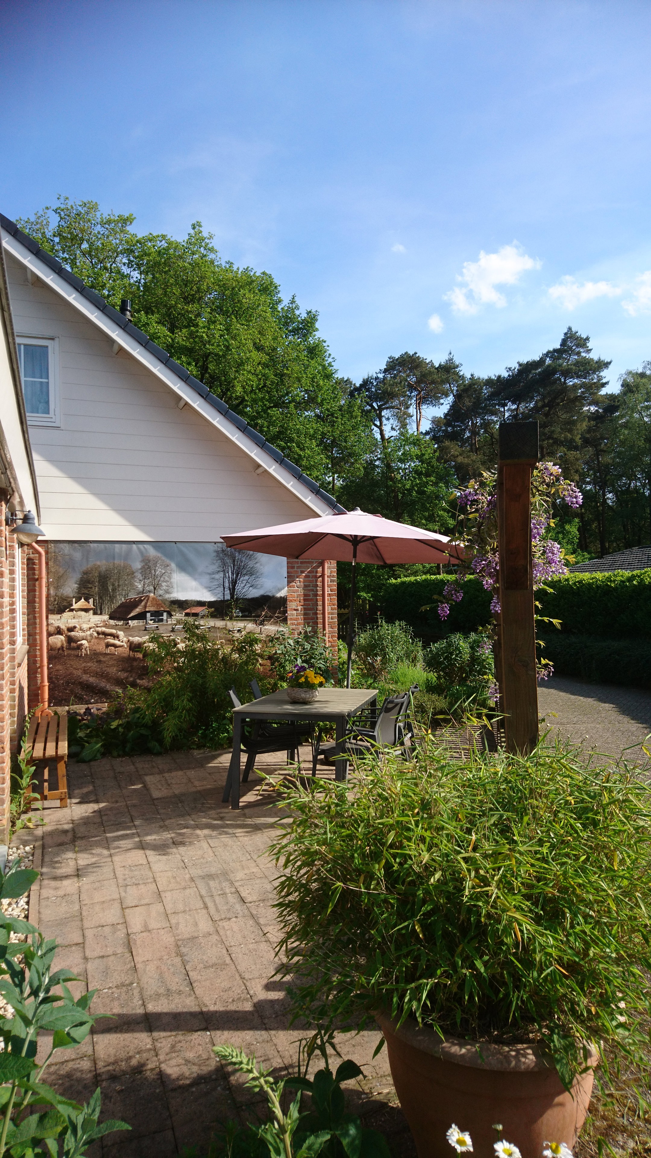 Nature house in Kootwijk