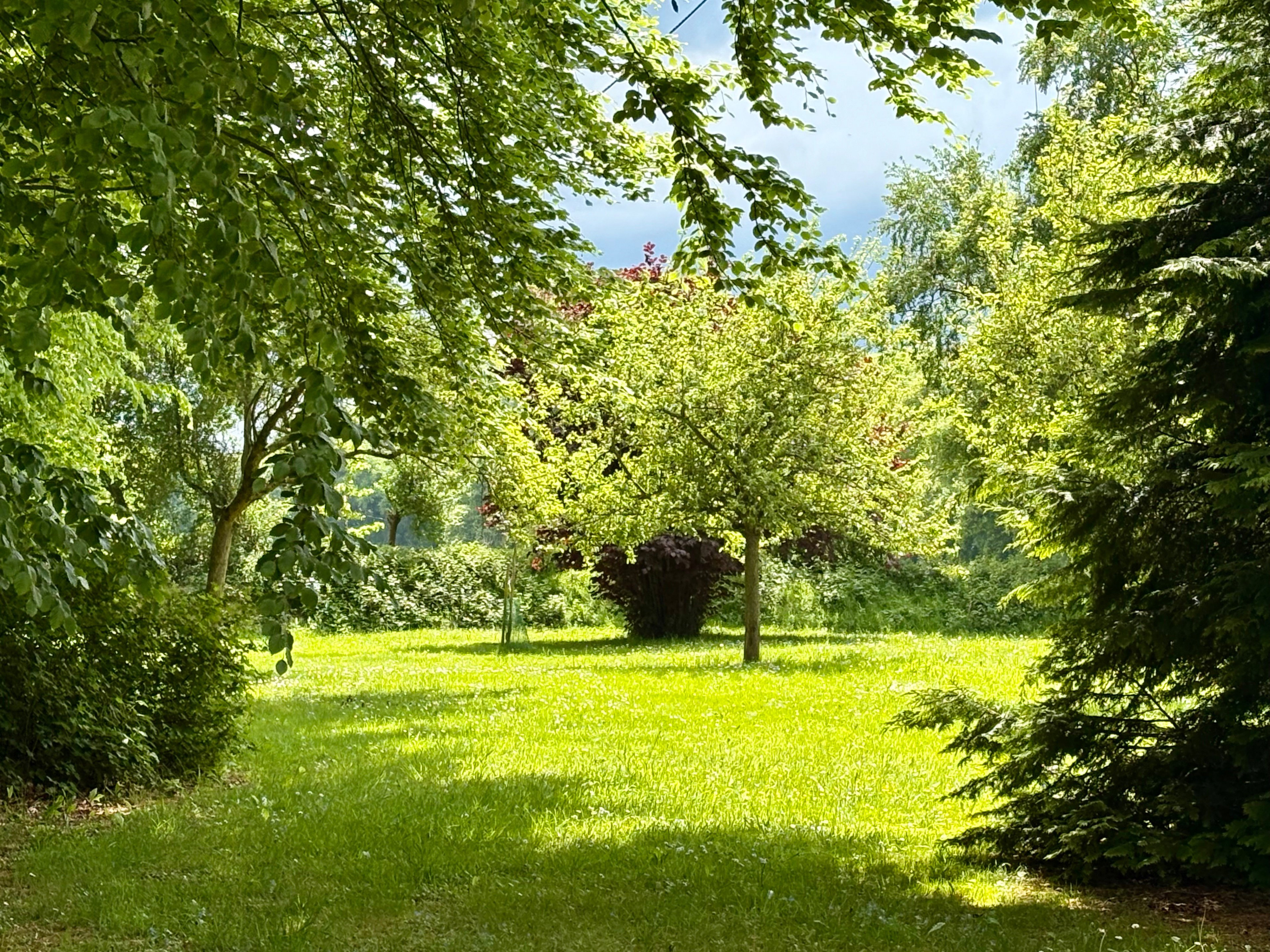 - image: 61