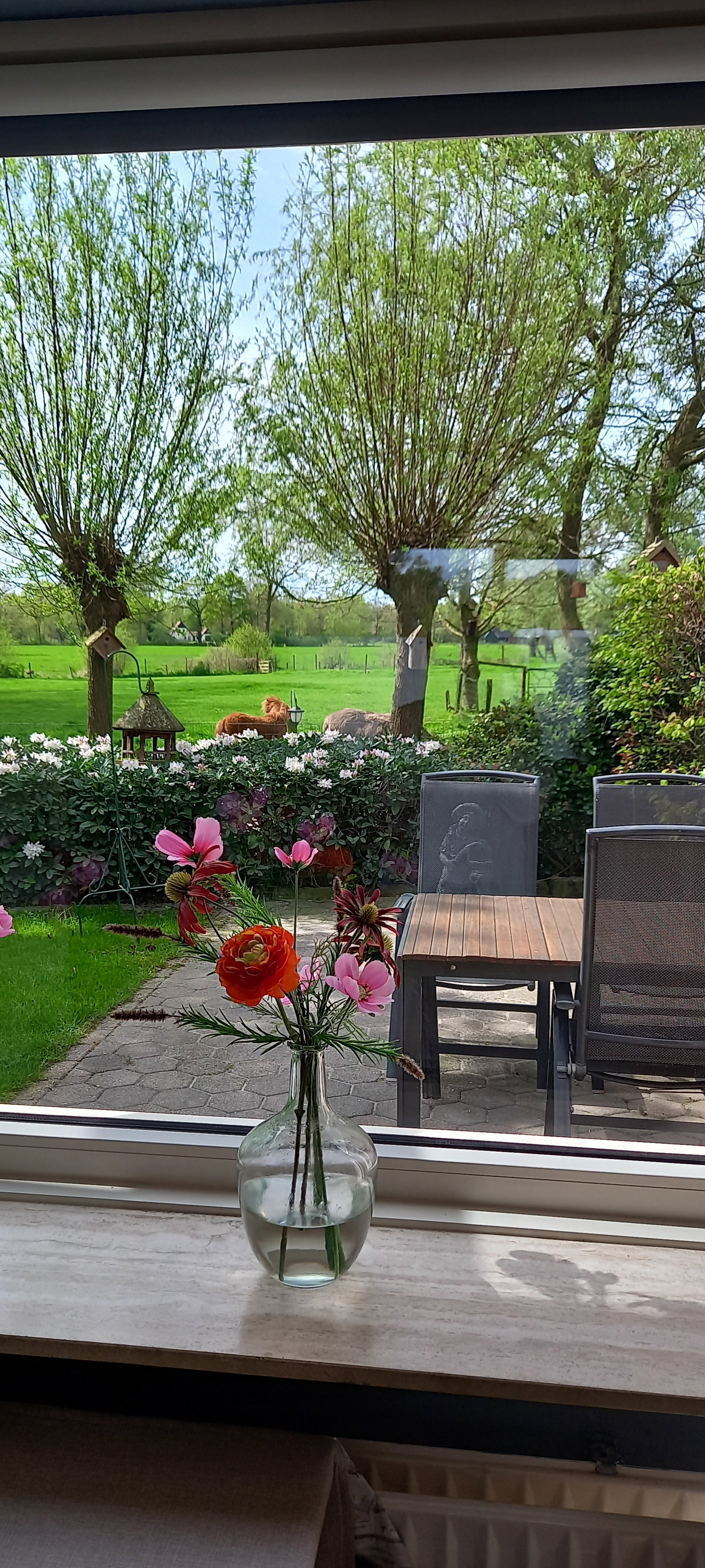 Natuurhuisje in de Lutte
