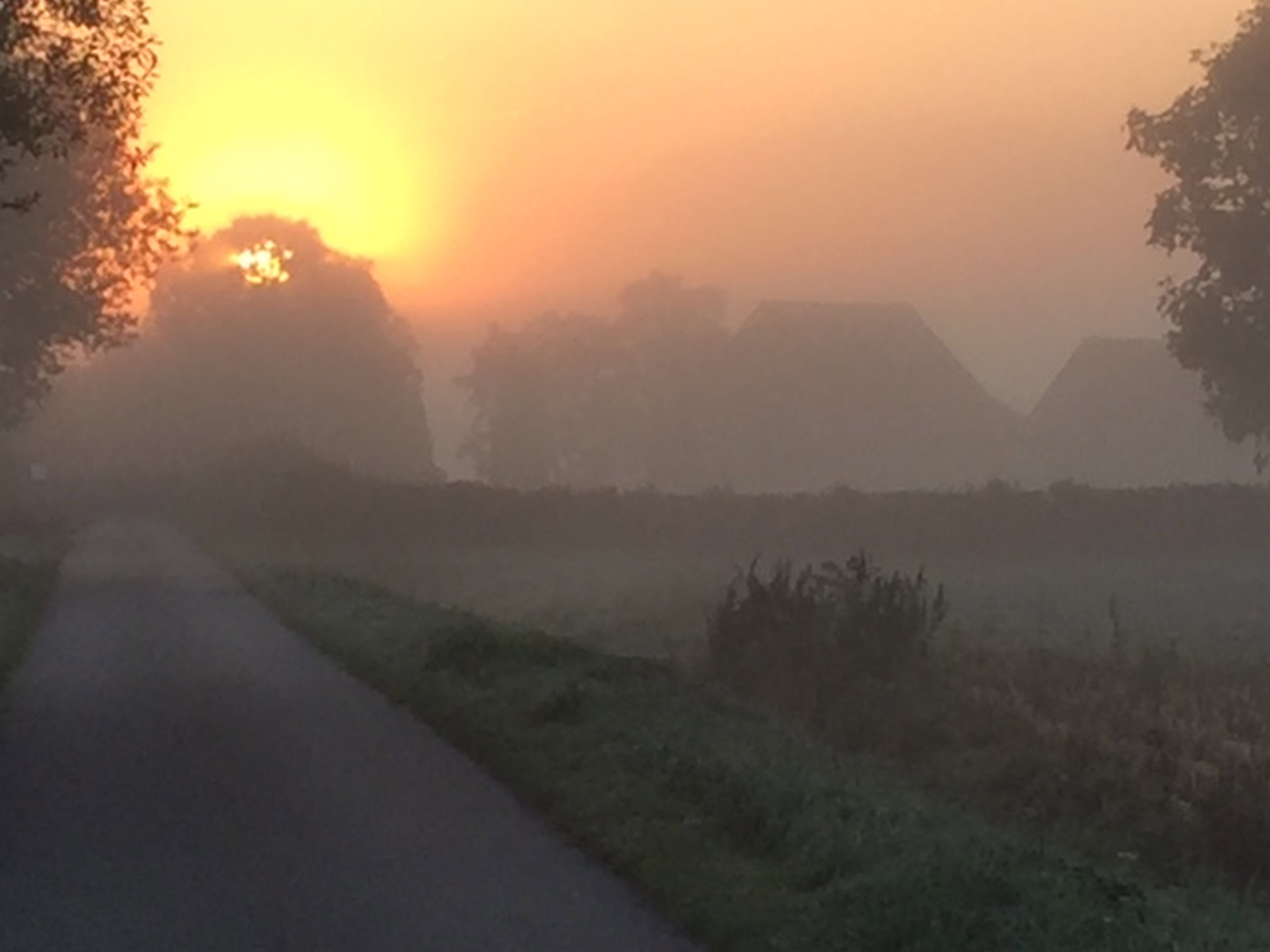 Natuurhuisje in Groessen