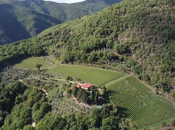 Casa nella natura a Londa (FI)