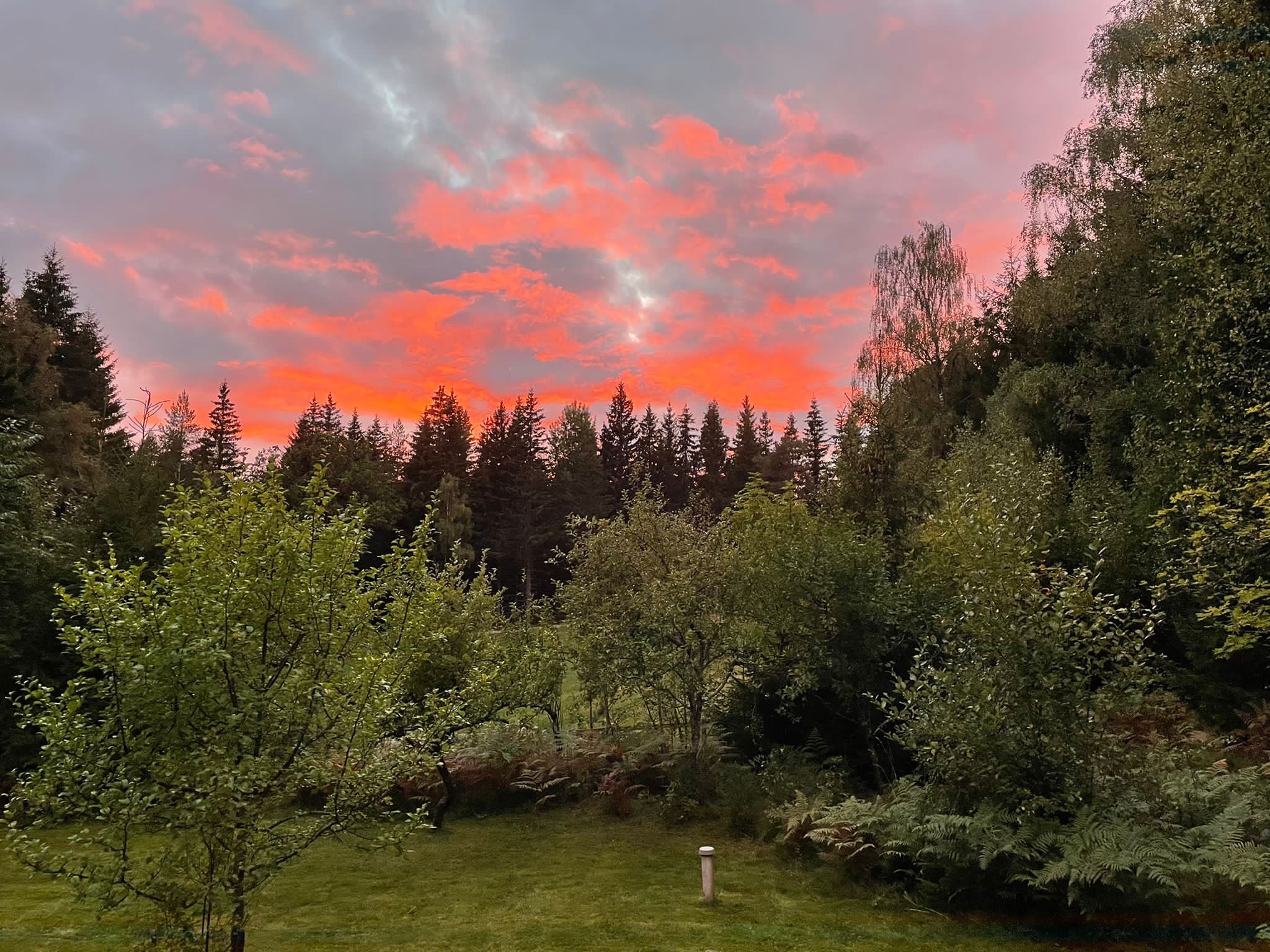 Casa nella natura a Sävsjö