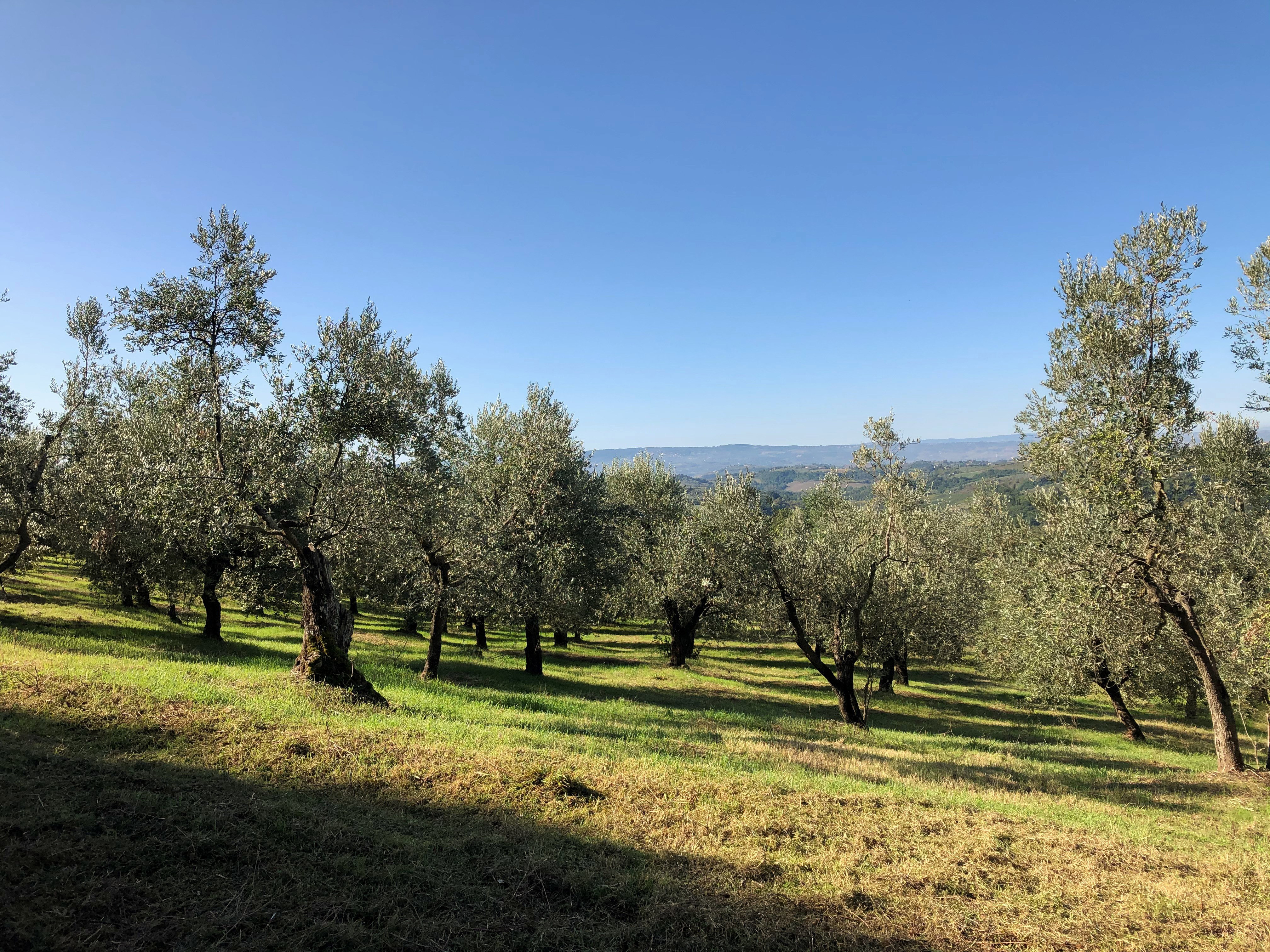 Casa nella natura a Montespertoli