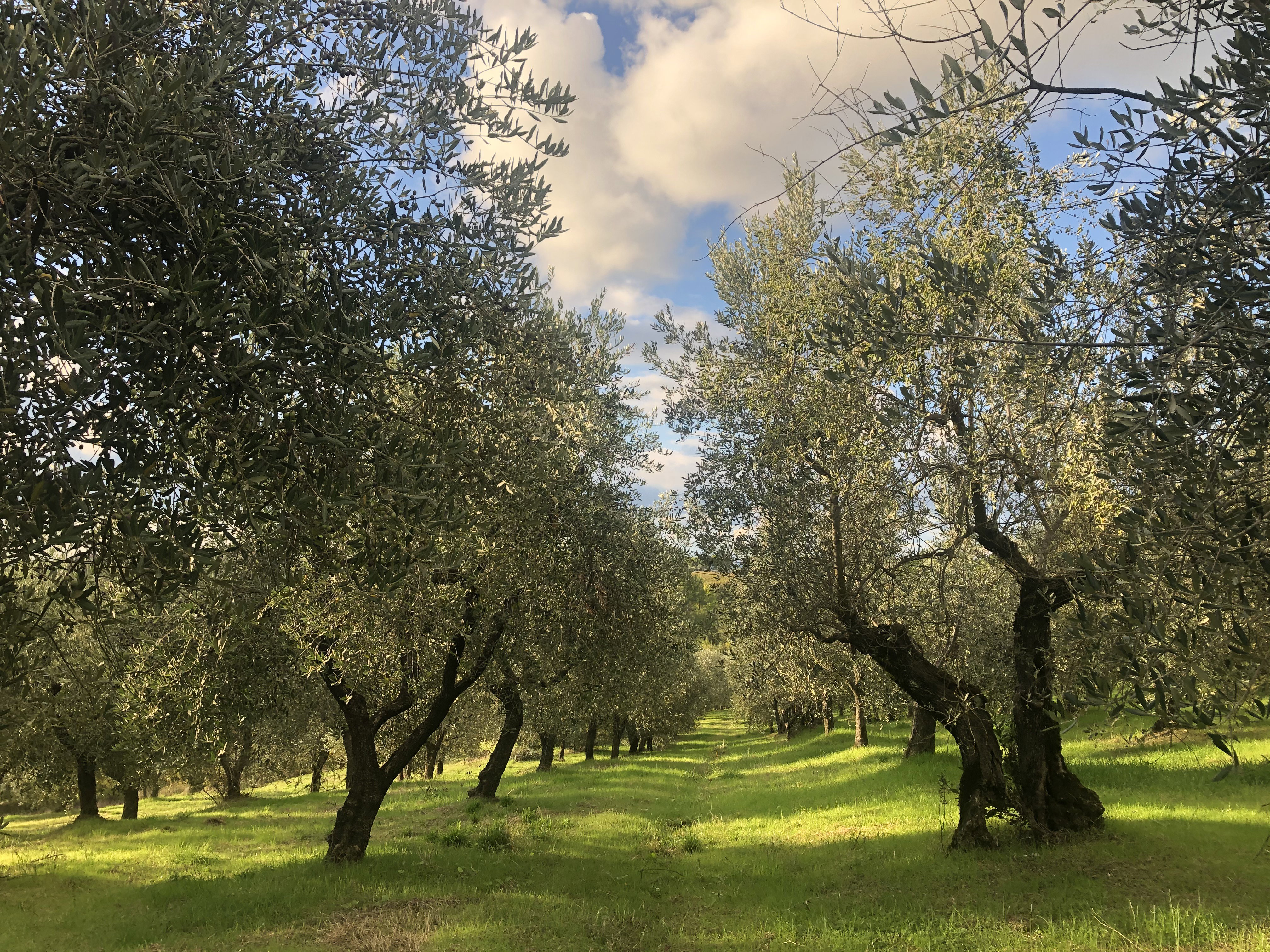 Casa nella natura a Montespertoli
