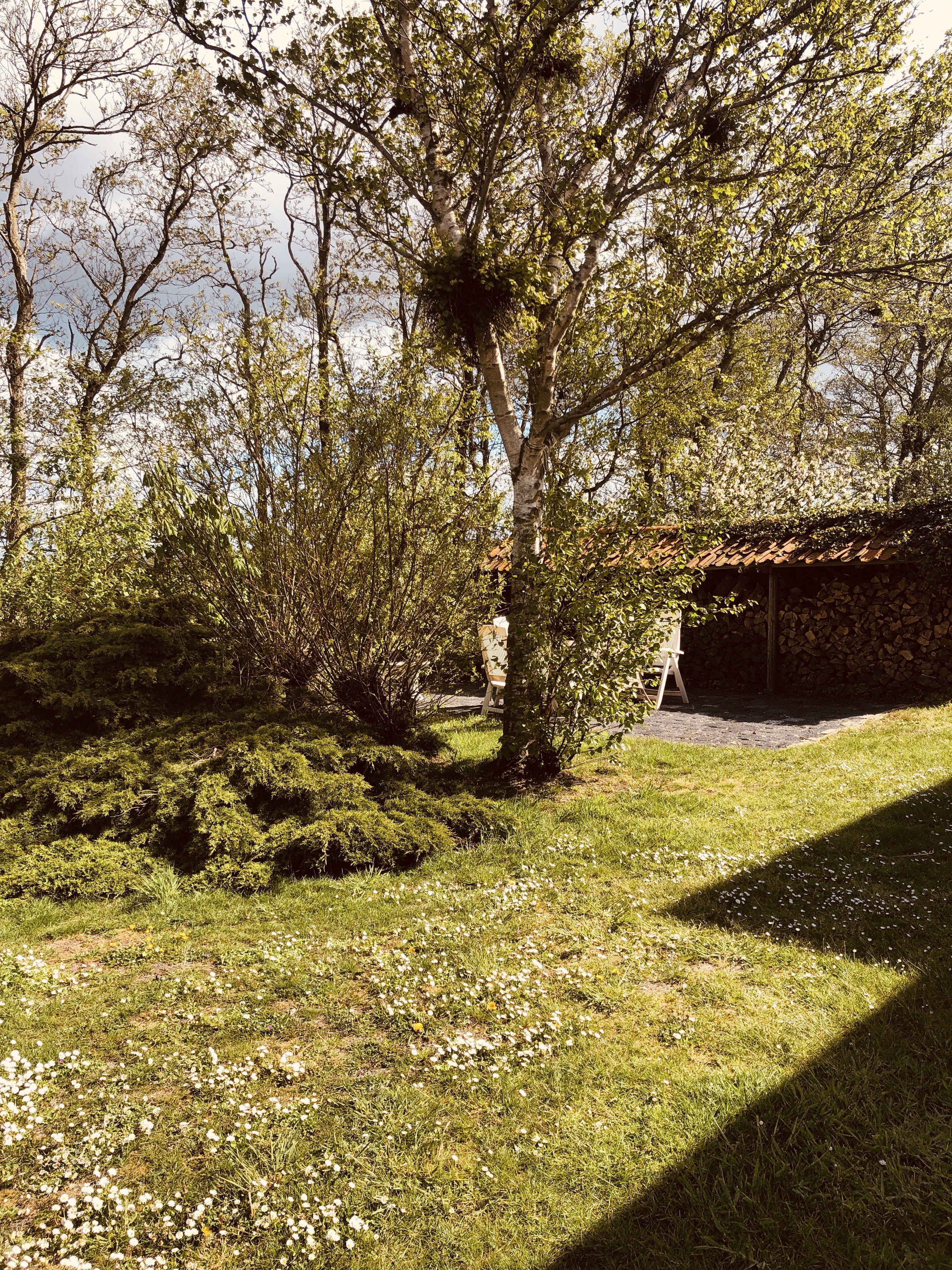 Naturhäuschen in Schiermonnikoog