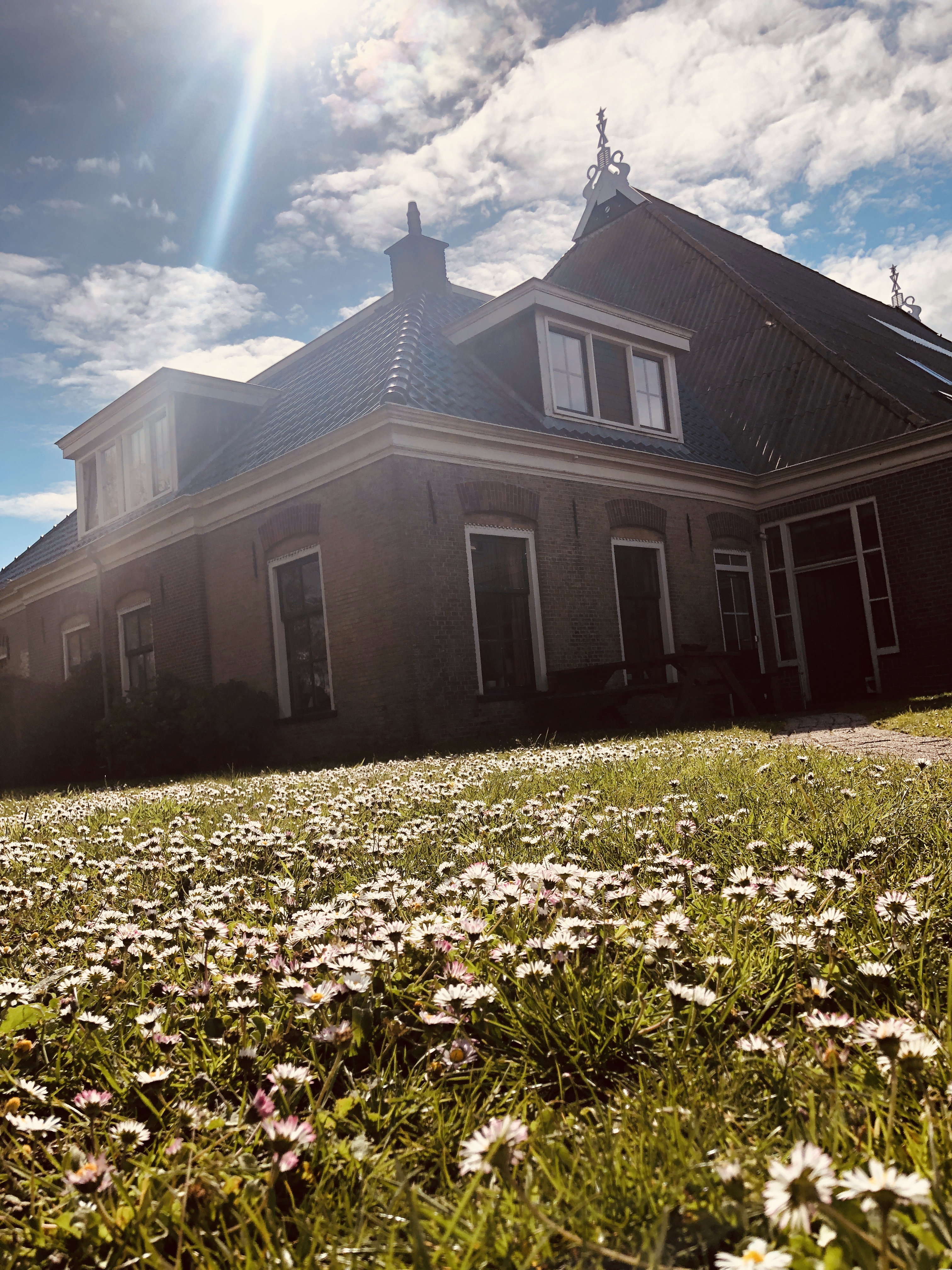 Naturhäuschen in Schiermonnikoog