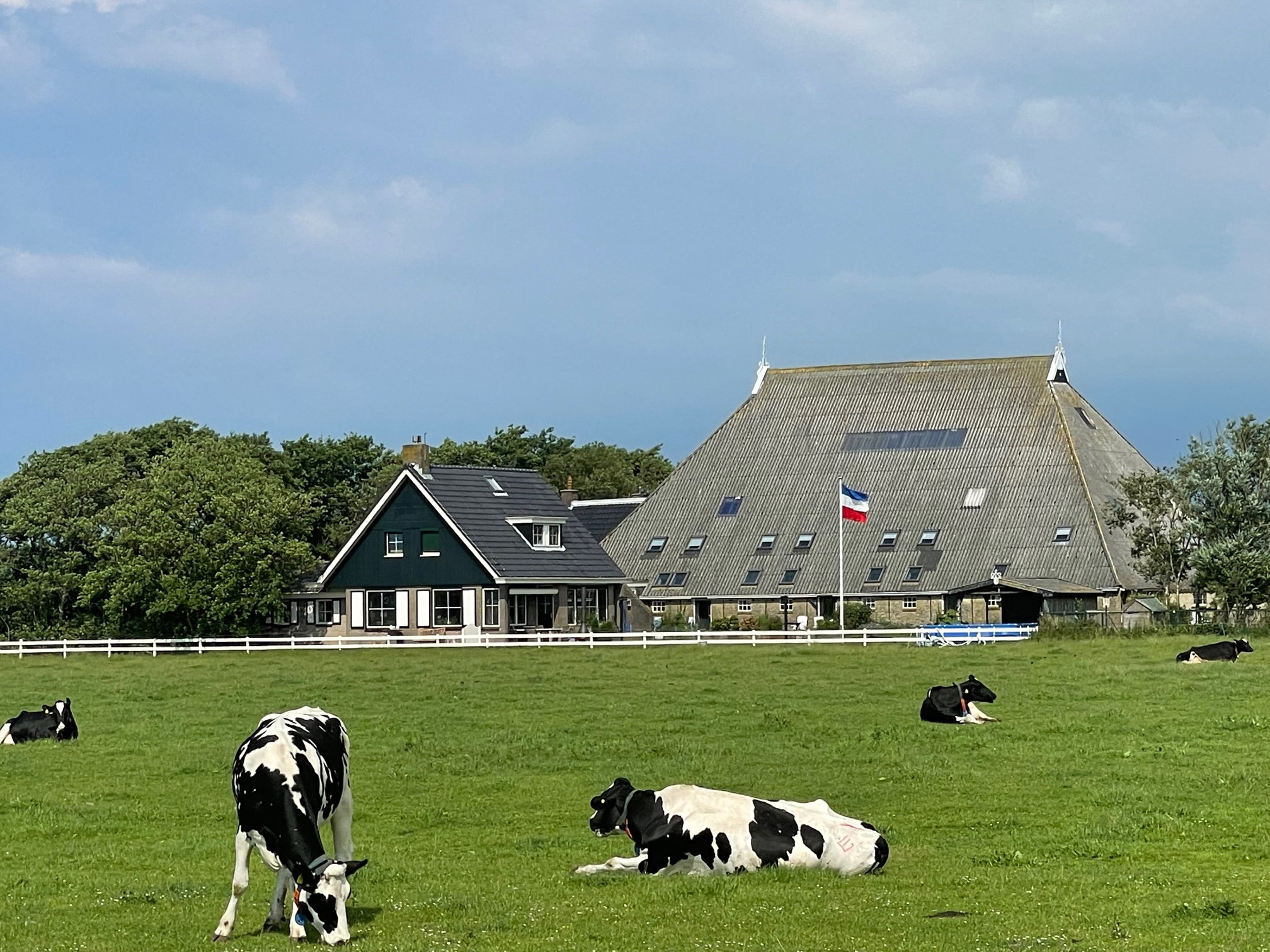Naturhäuschen in Schiermonnikoog