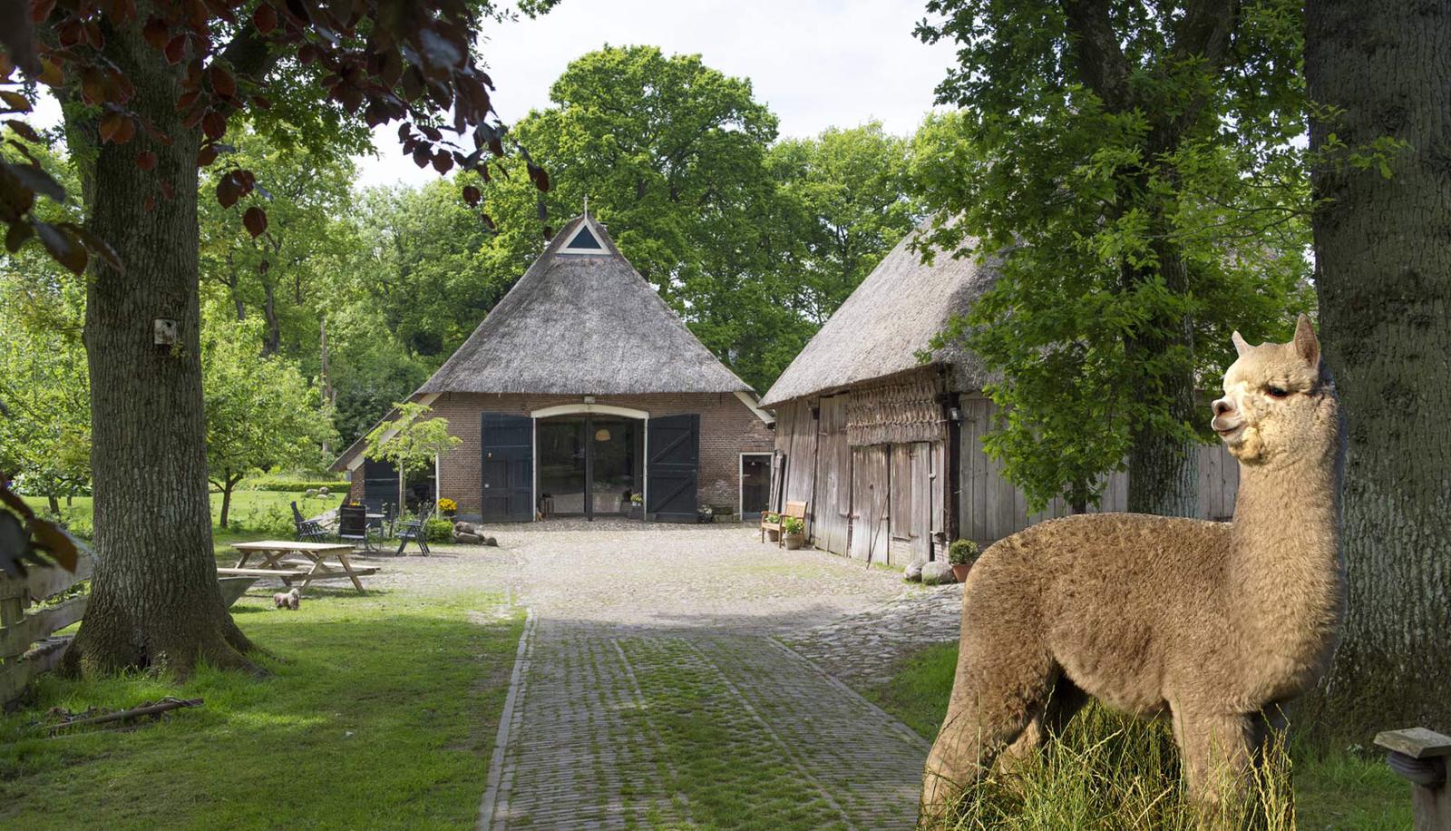 Natuurhuisje in Oosterhesselen