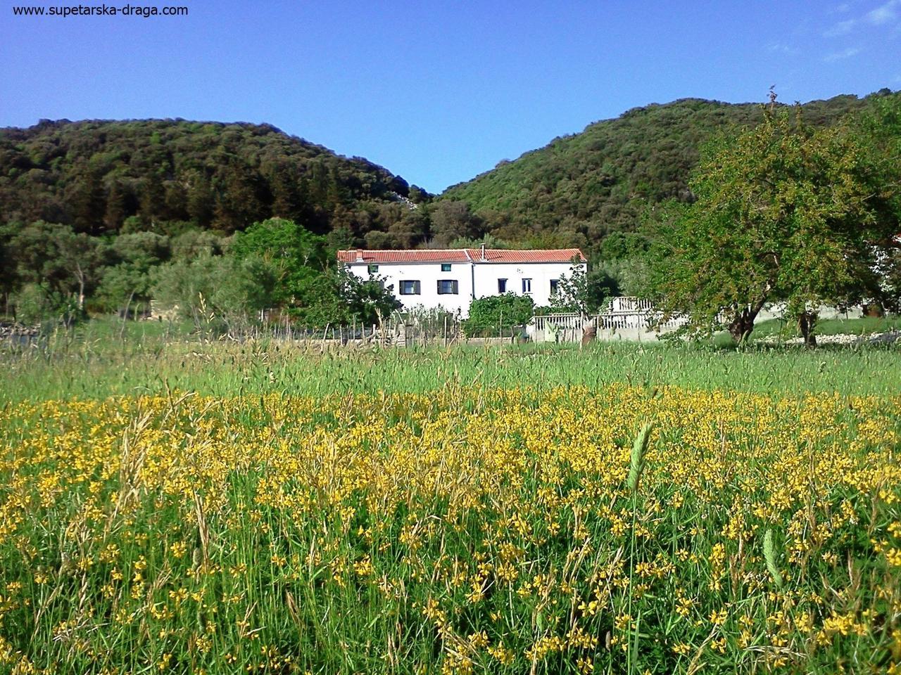 Casa nella natura a Rab