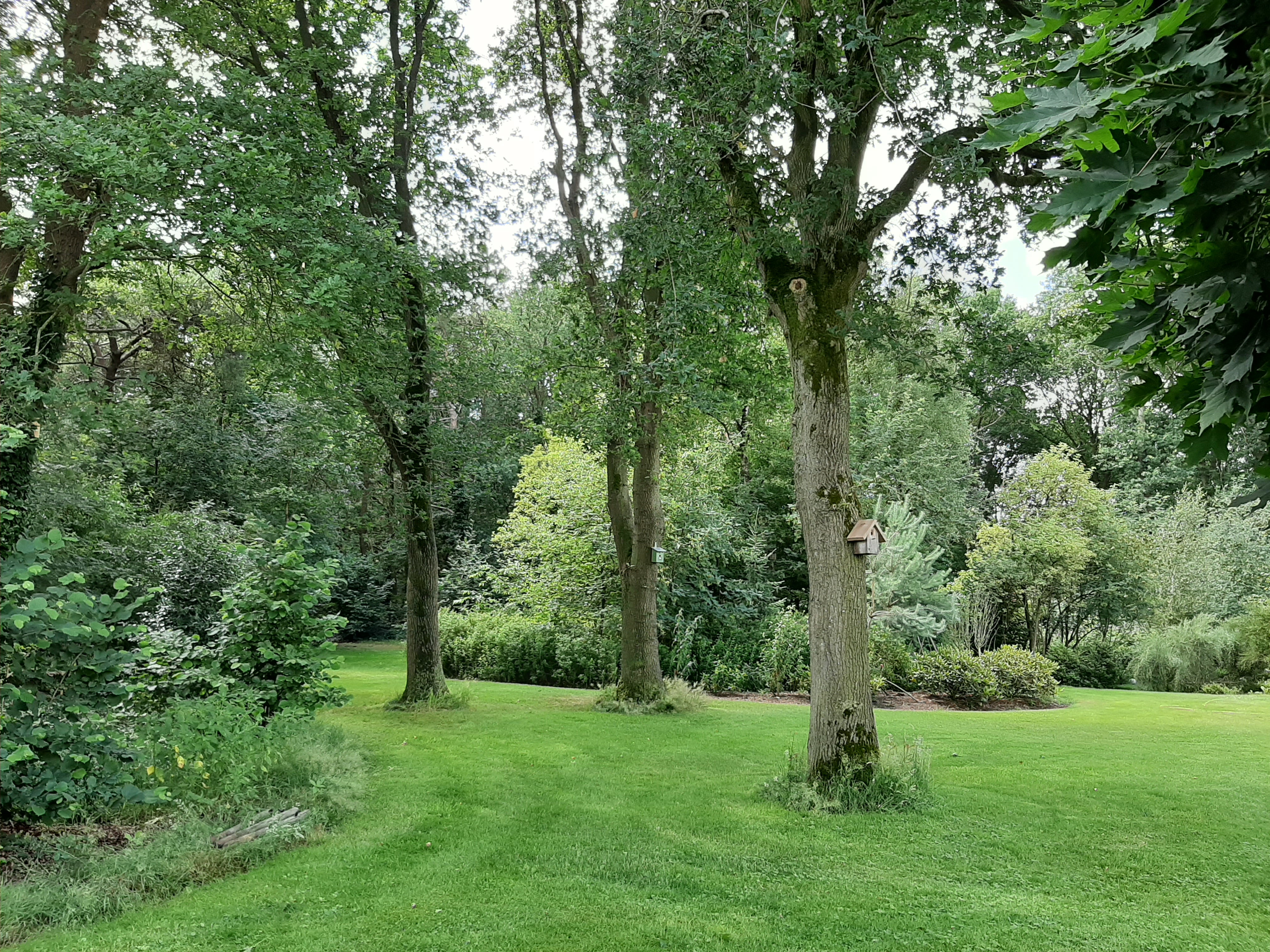 Natuurhuisje in Dalfsen