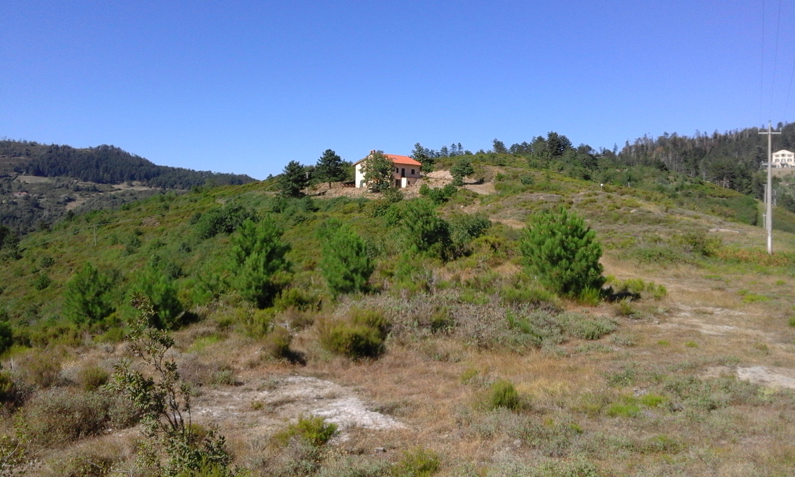 - image: 15