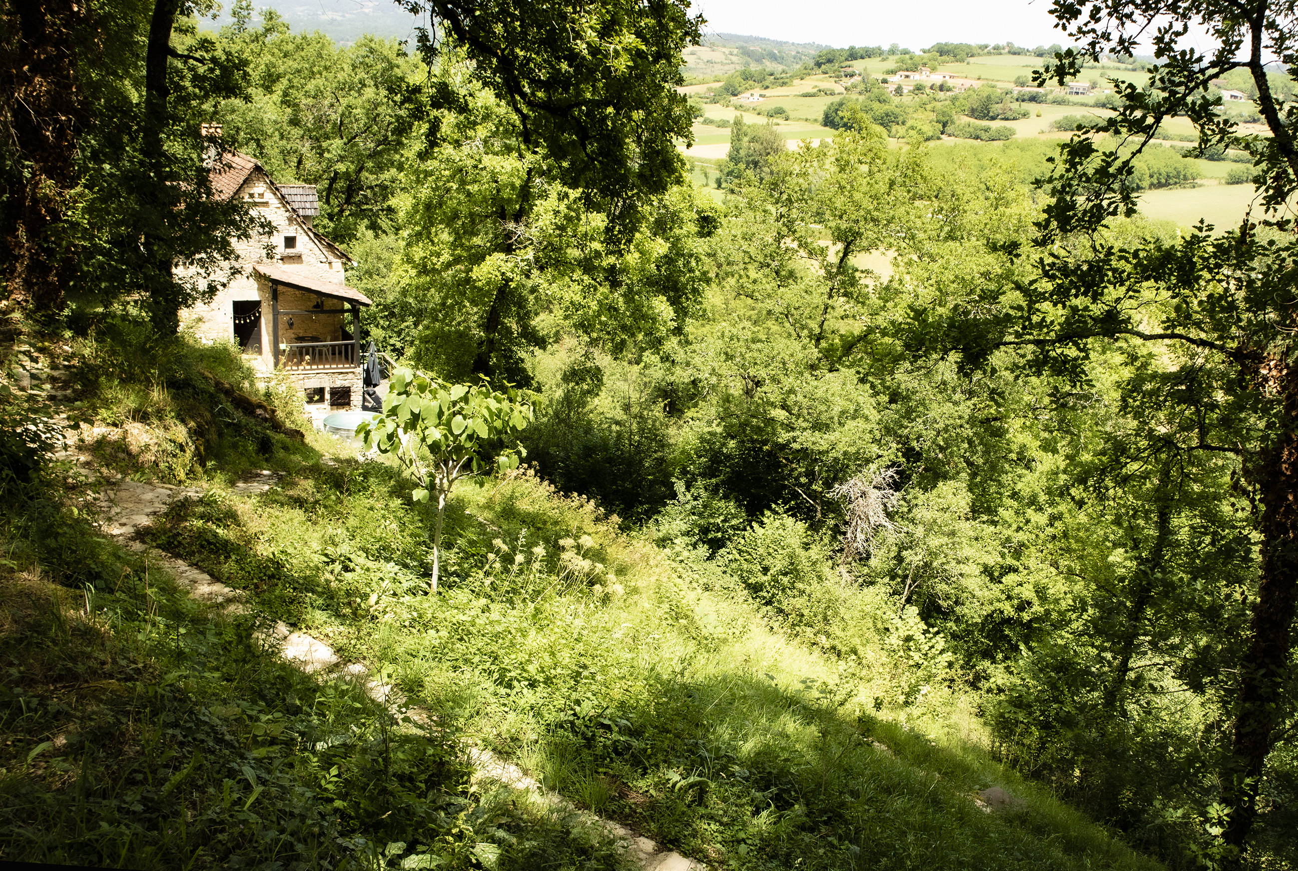 - image: 4