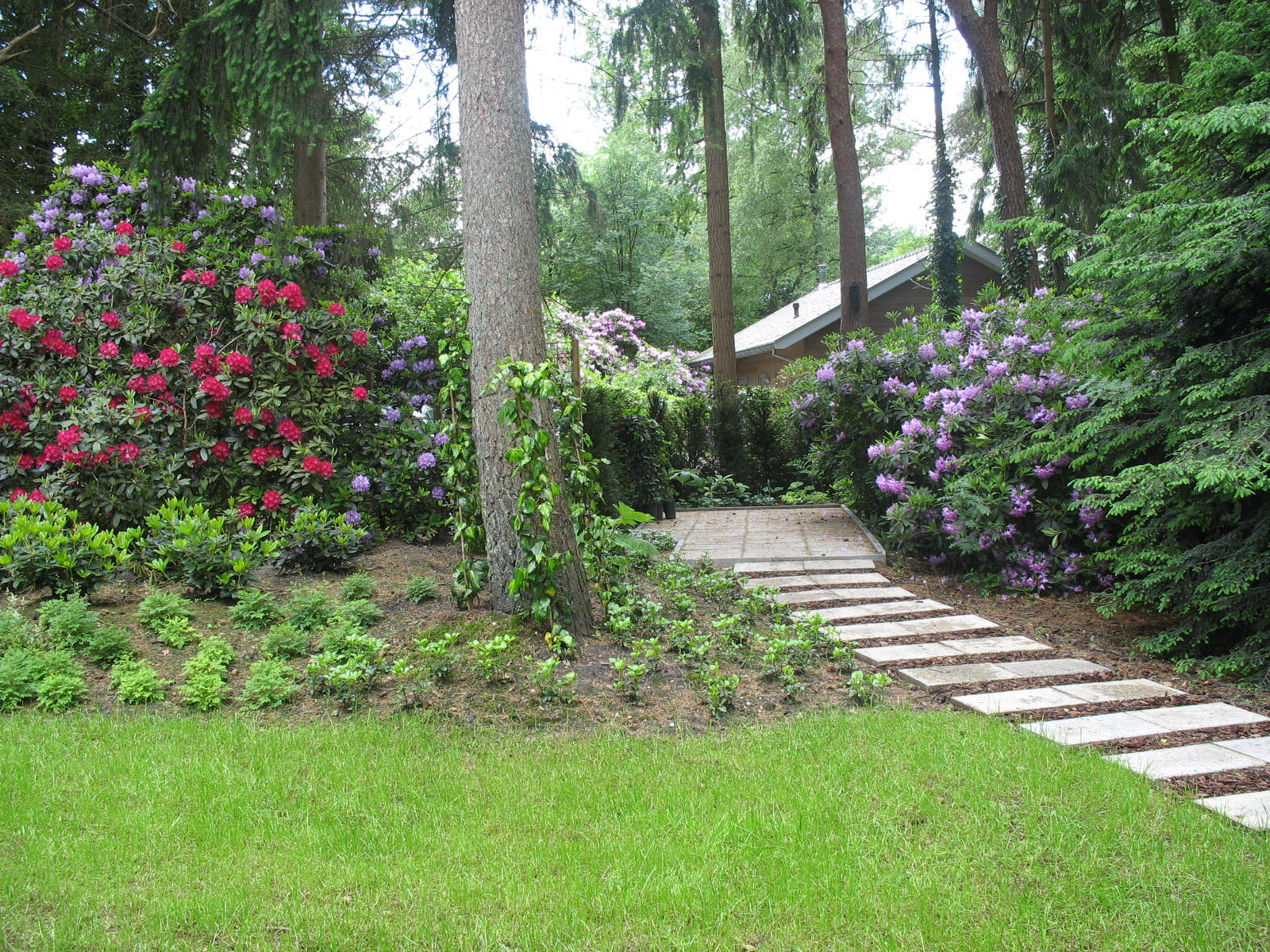 Maison nature à Emst