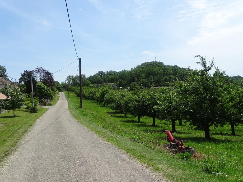 - image: 11