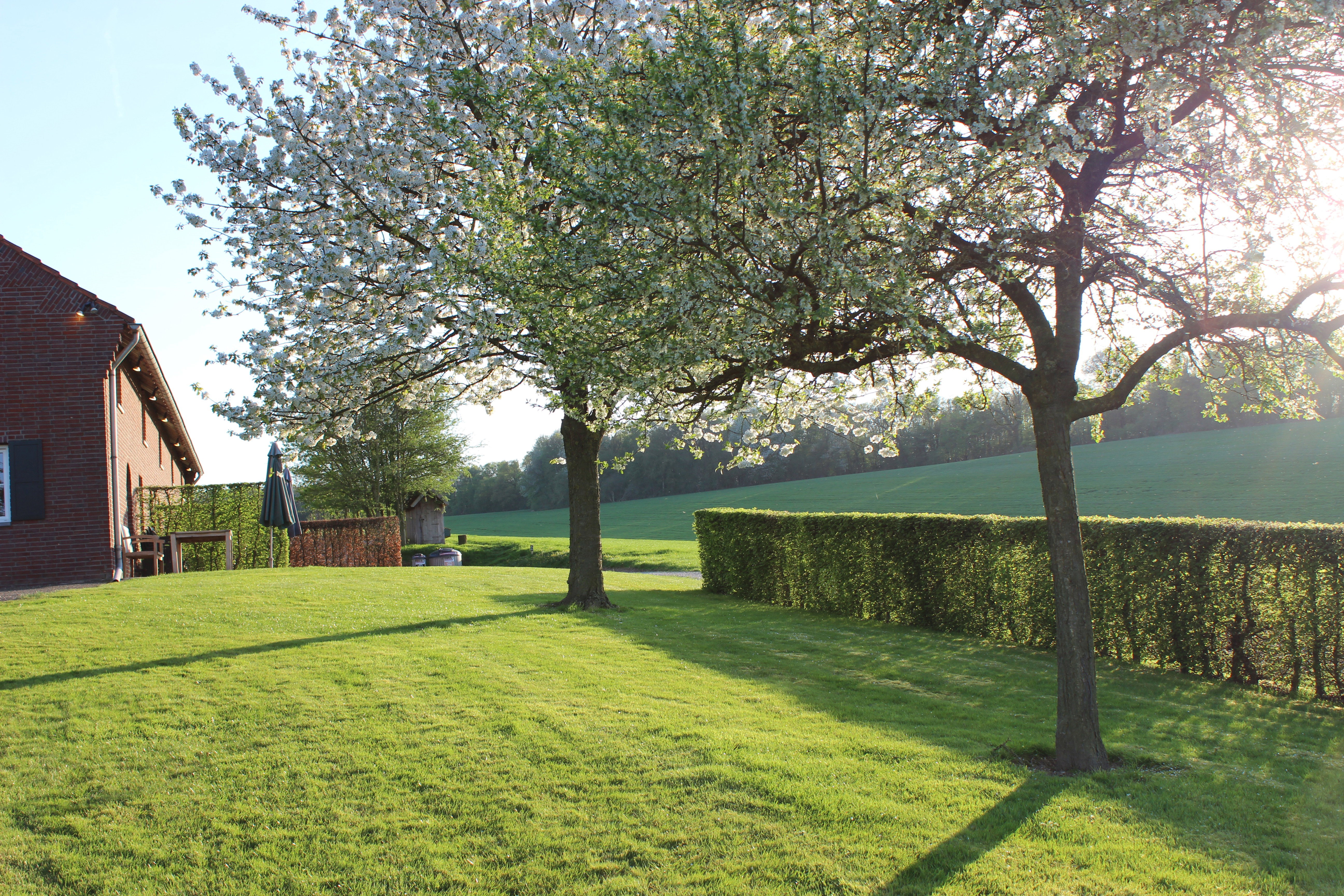 Maison nature à Gulpen