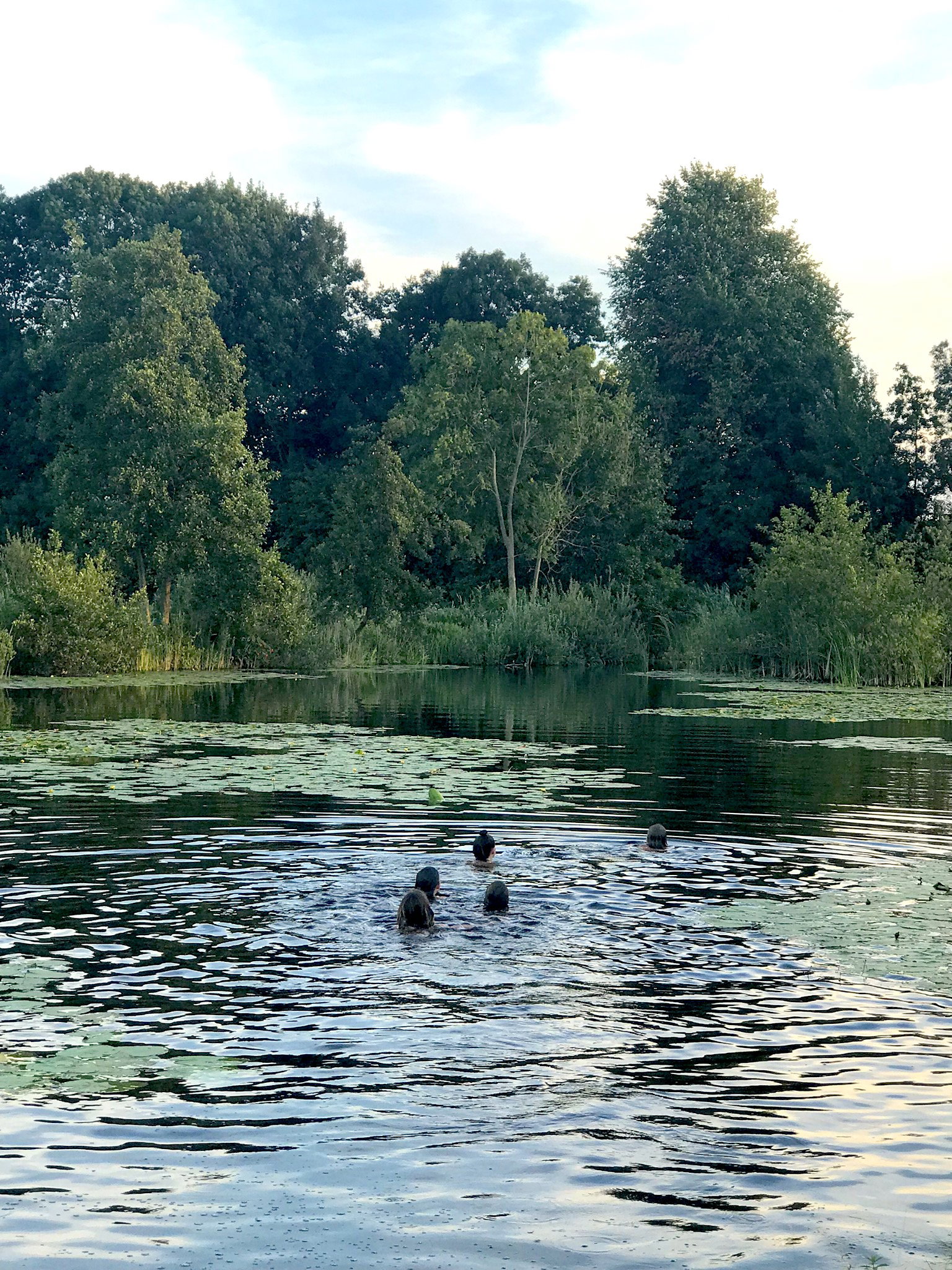 - image: 26