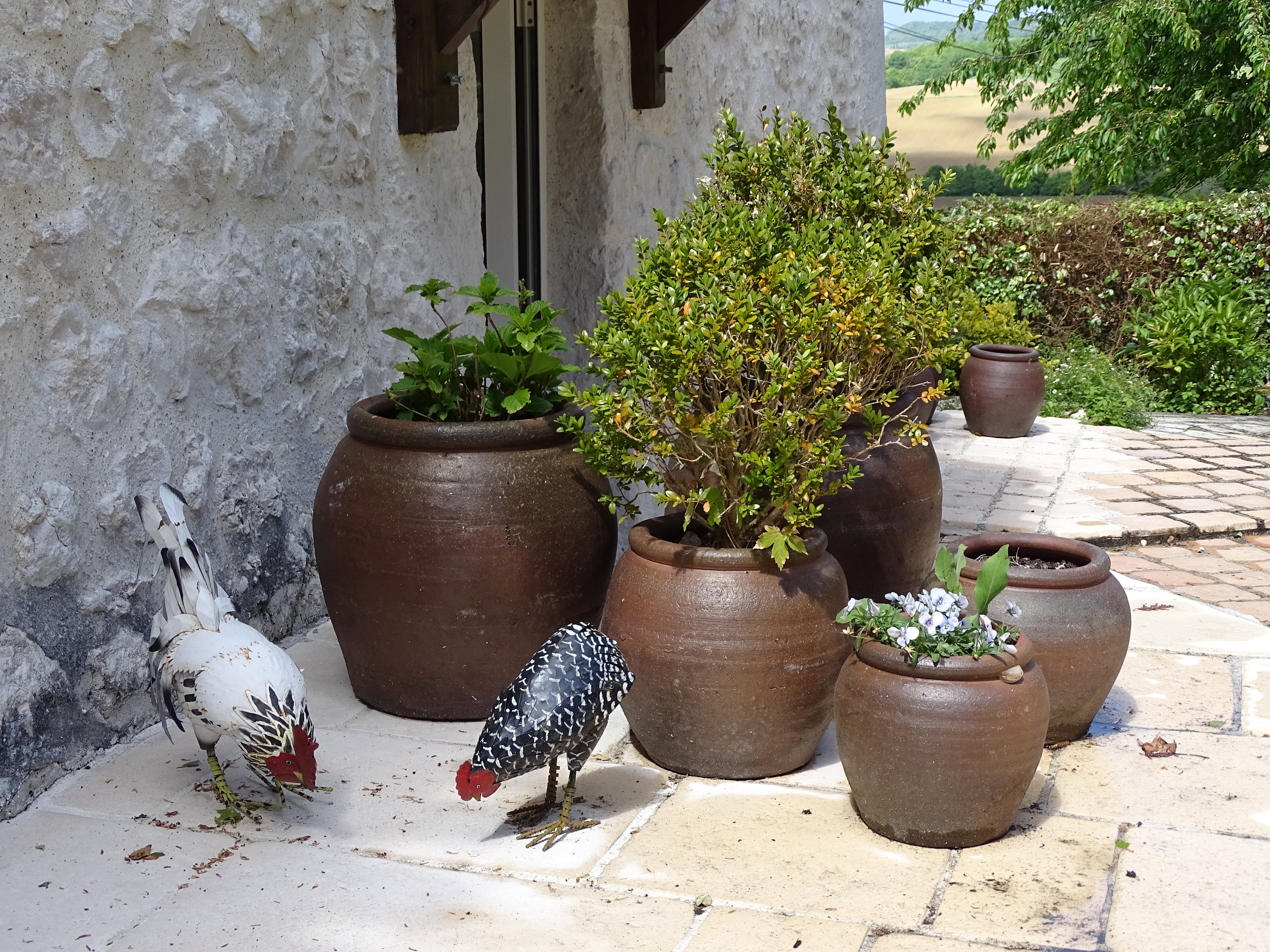 Maison nature à Valeilles