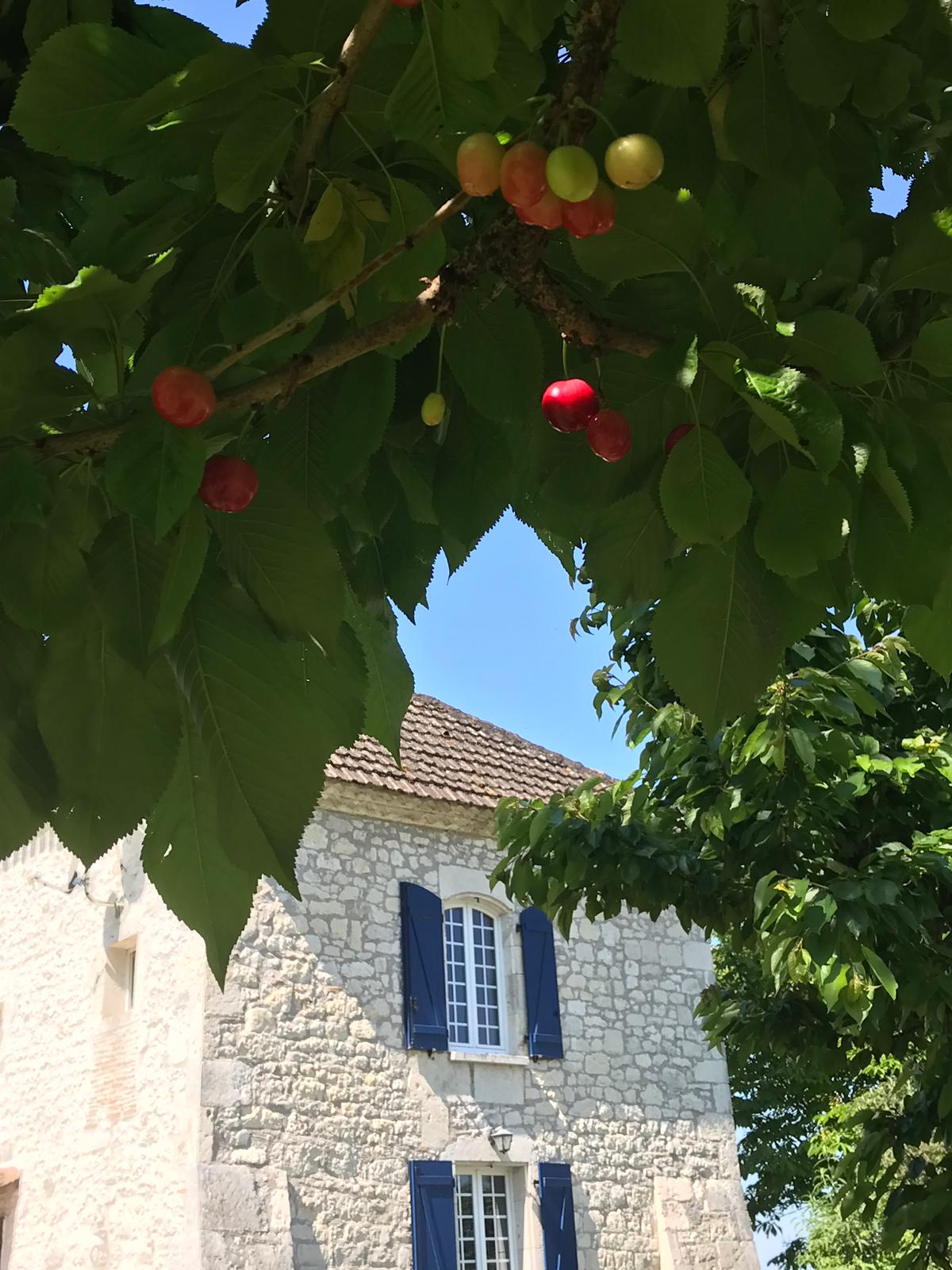 Maison nature à Valeilles