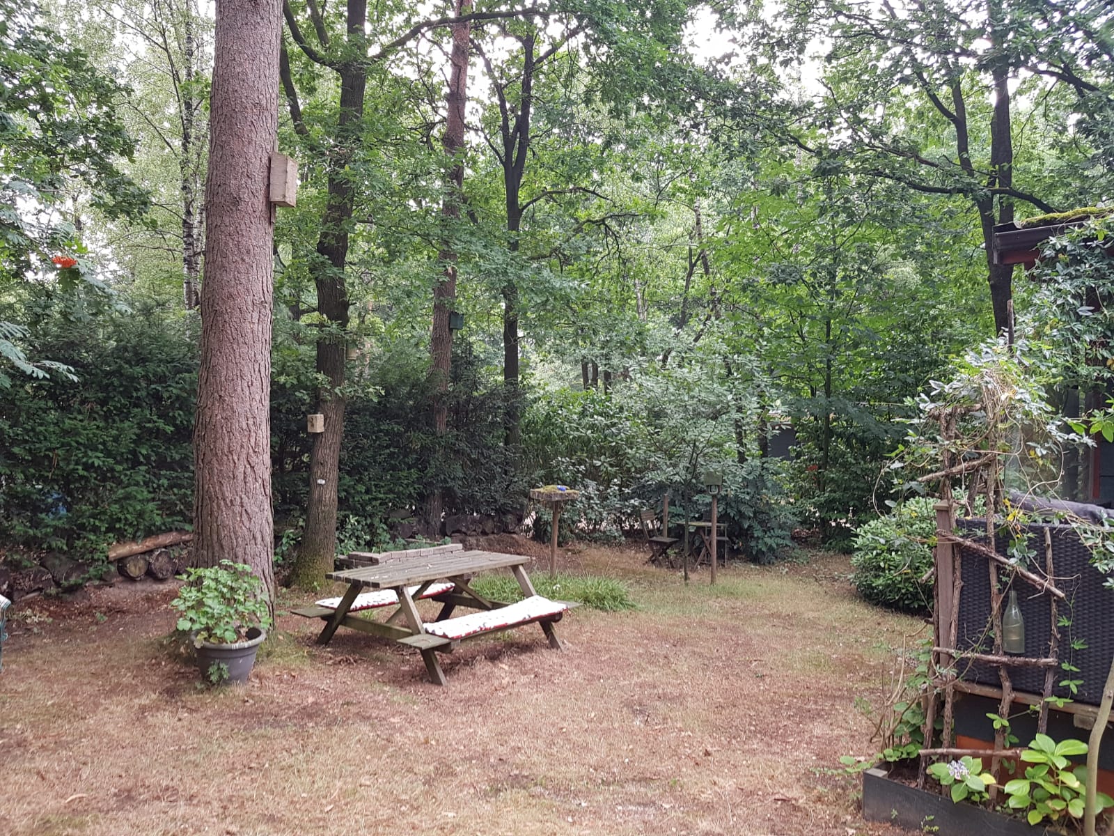 Naturhäuschen in Groesbeek
